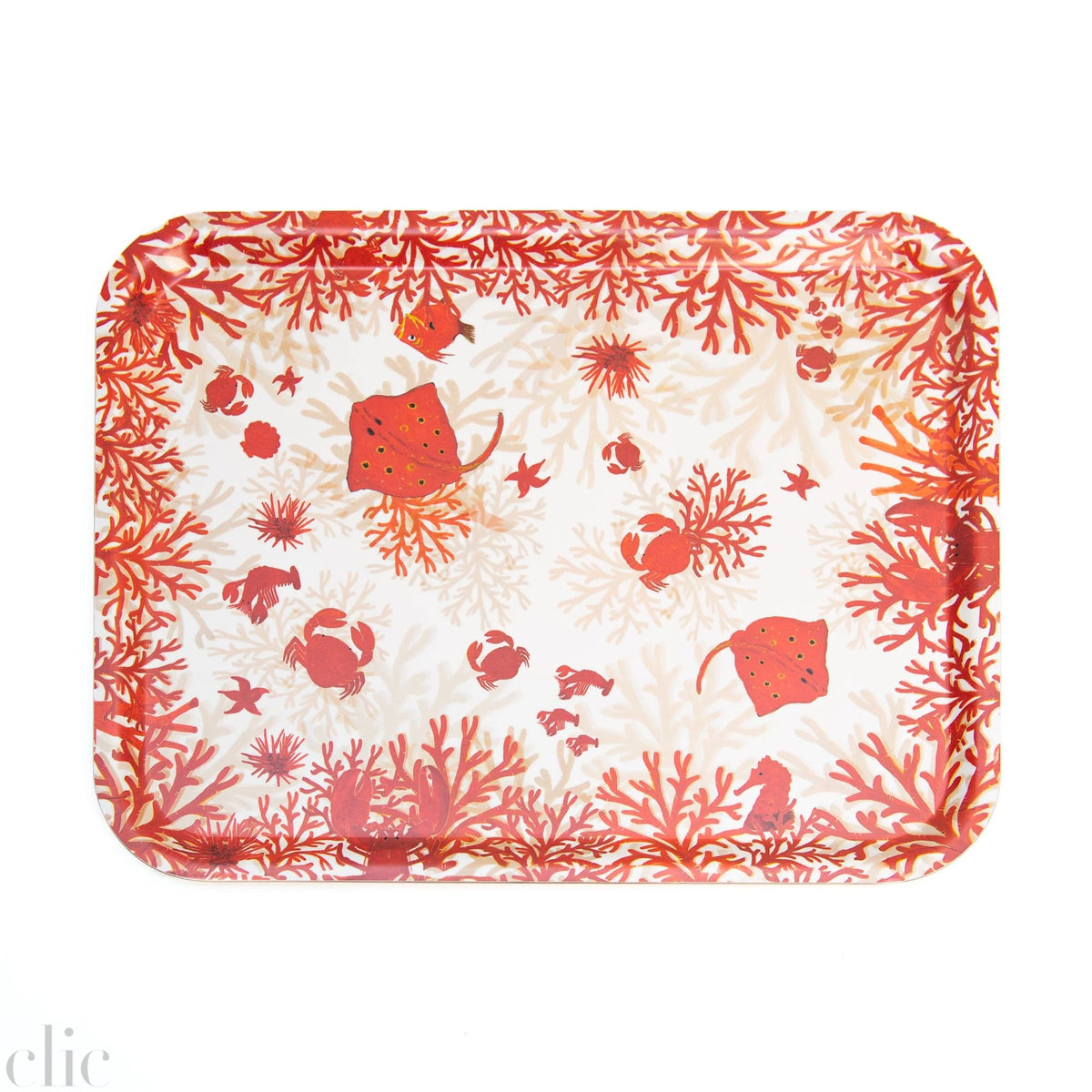 Large Nemo Tray