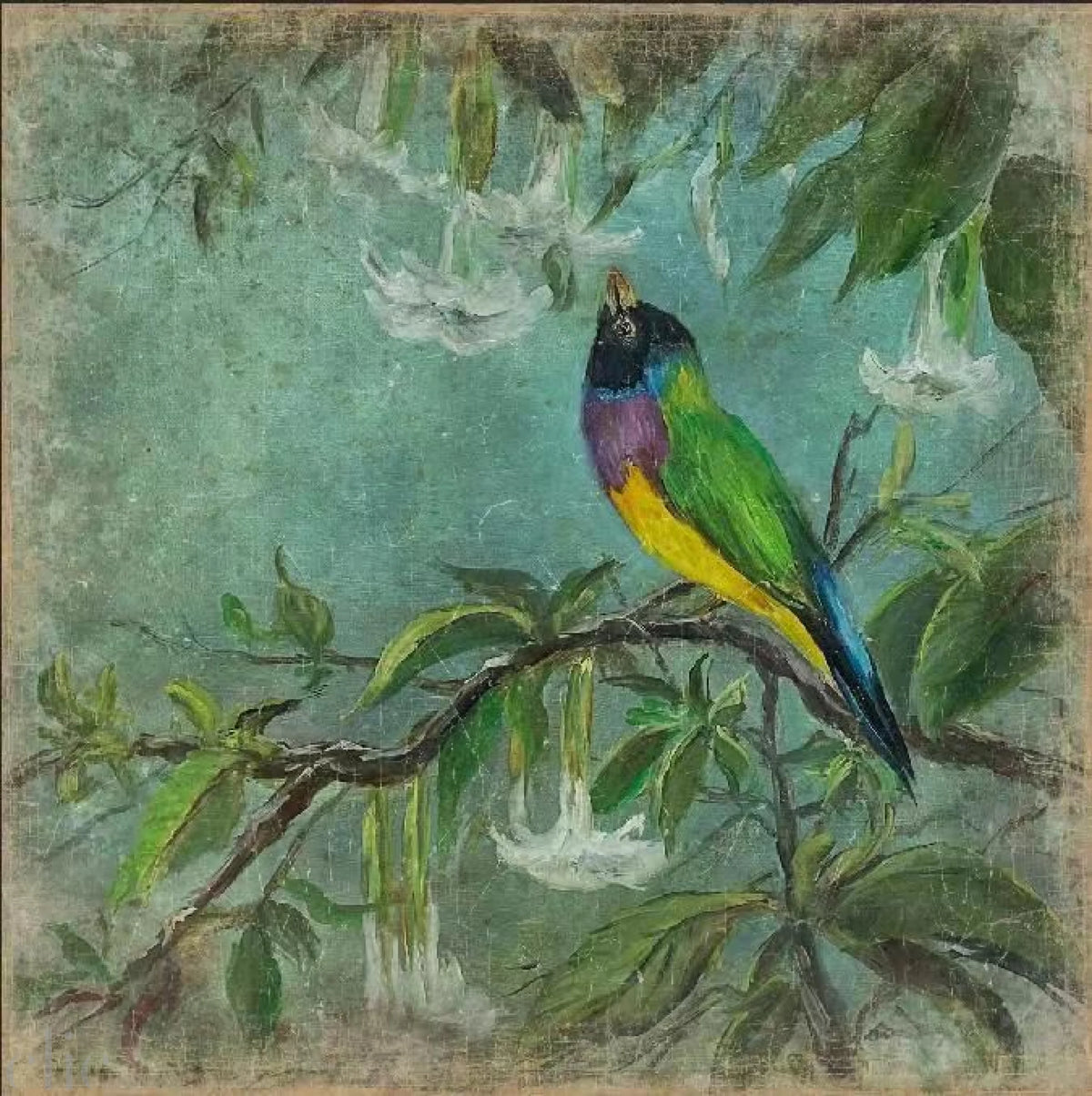 Oiseaux and Branch Wallpaper, from Alfonz