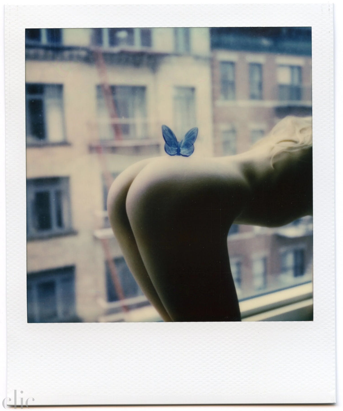 Butterfly by Alex Moore