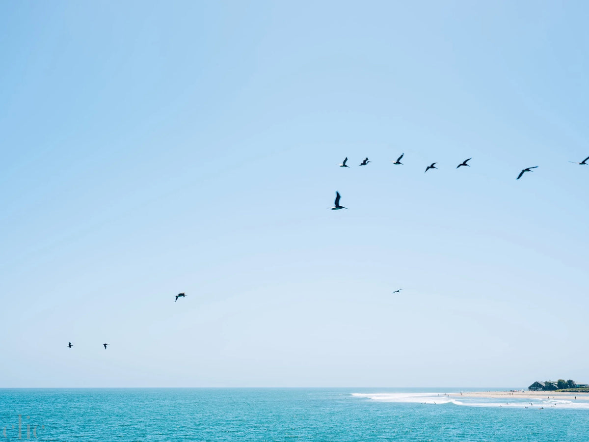 Malibu Point by Juliette Charvet