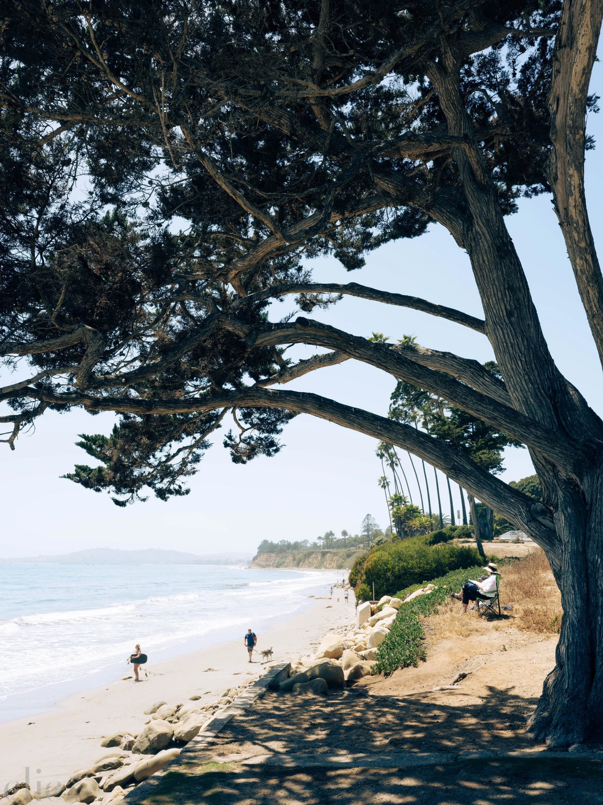 Butterfly Beach by Juliette Charvet