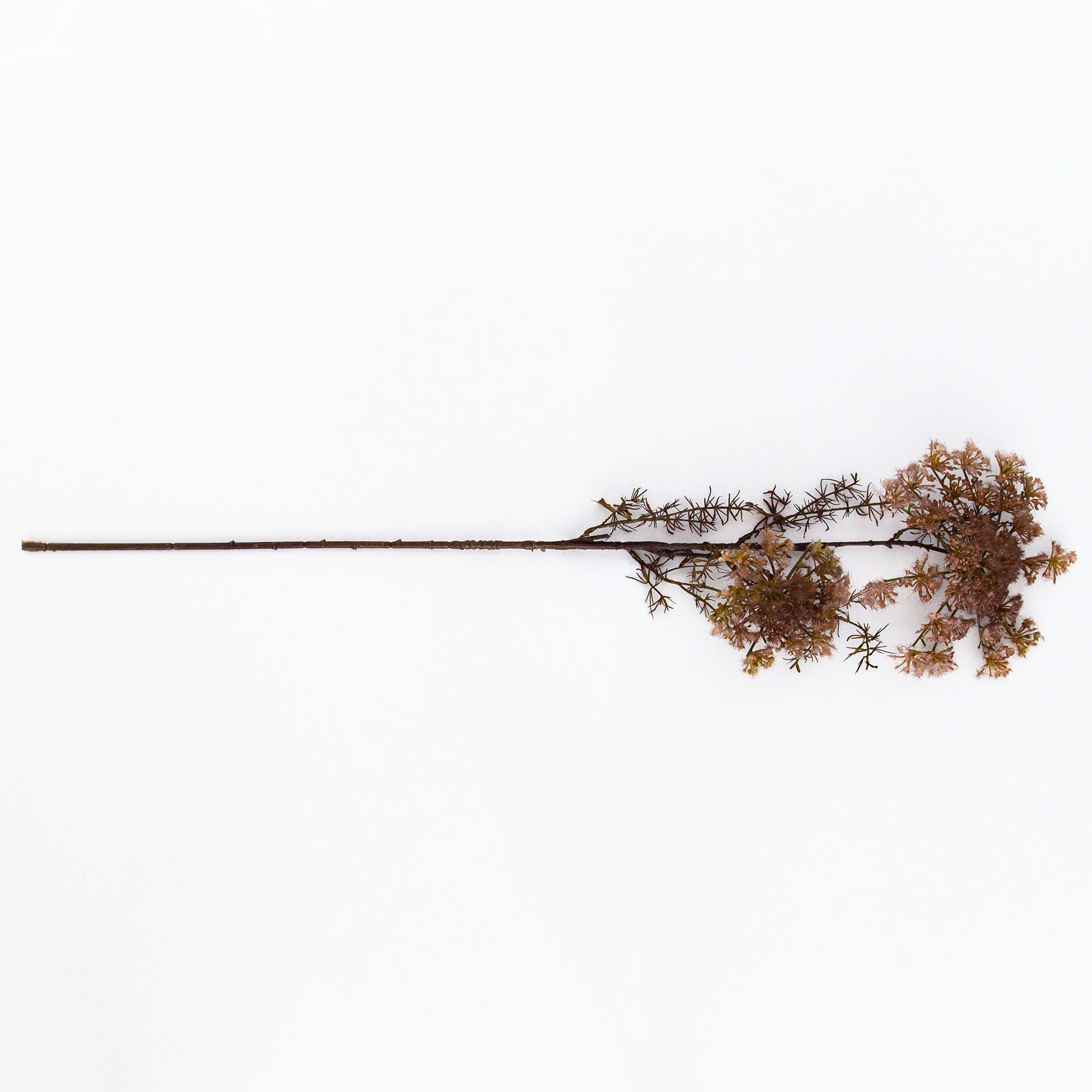 Queen Annels Lace Blush Artificial Flower, from Abigail Ahern