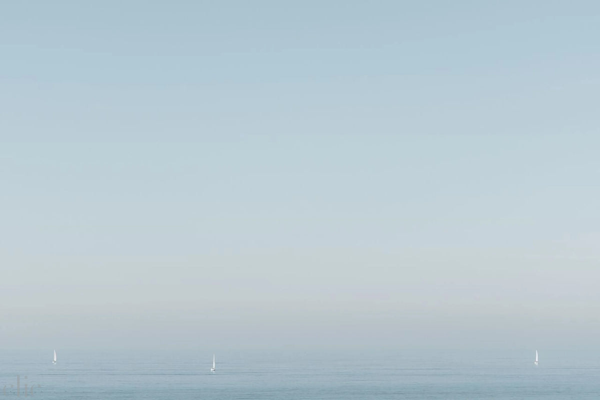 Malibu Sail by Kate Holstein