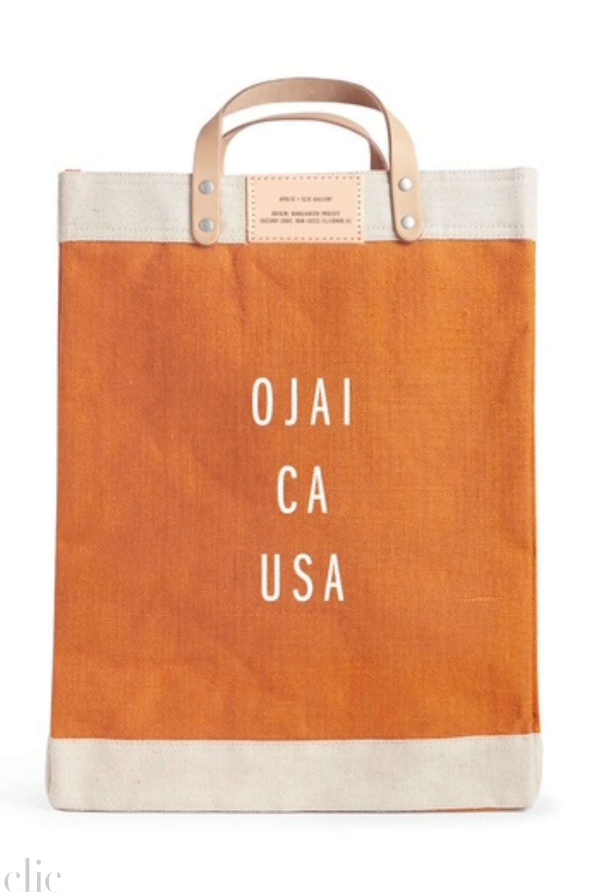 Ojai Market Bag in Citrus, from Apolis