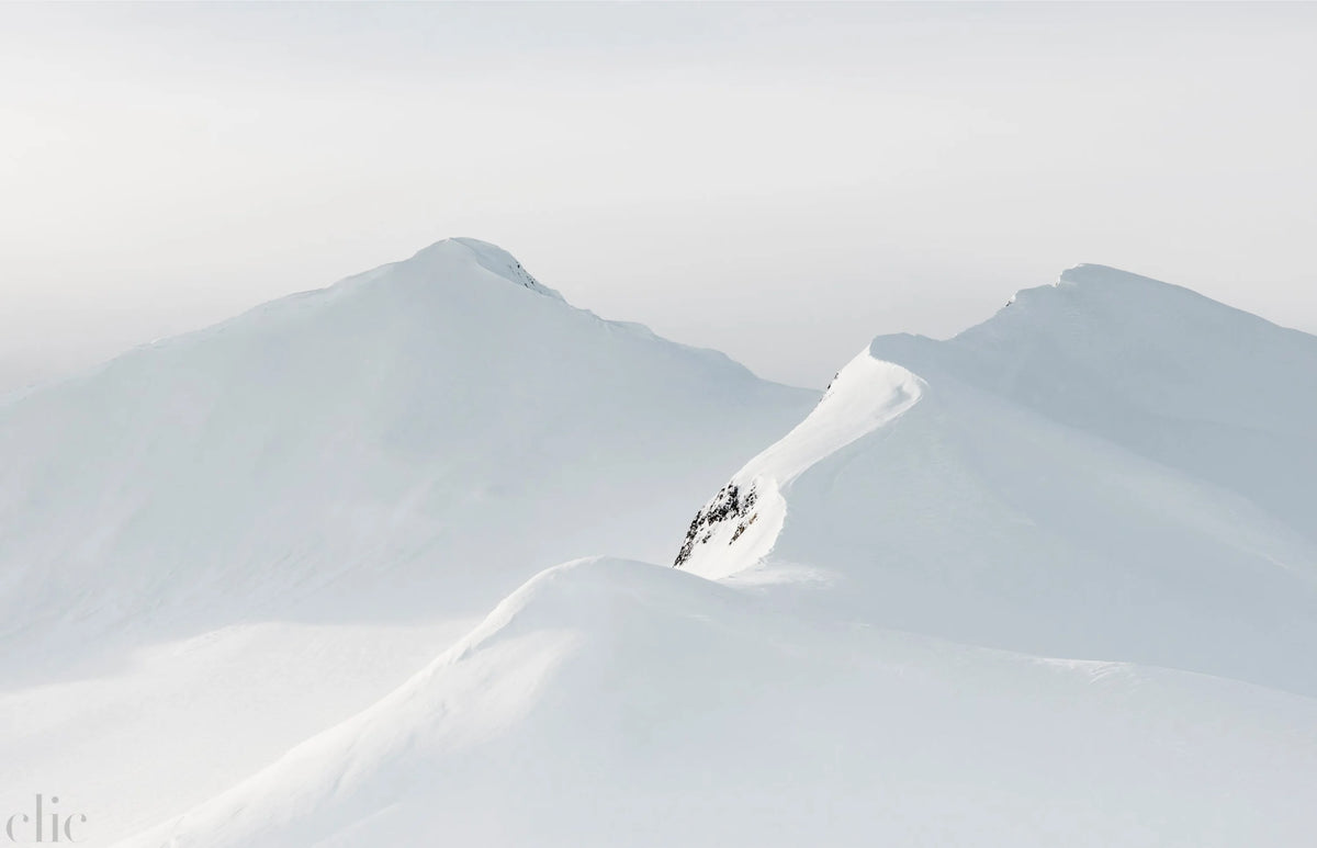 Monte Rosa by Kate Holstein