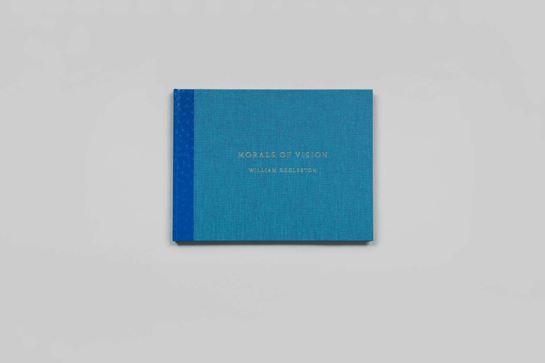 Morals of Vision by William Eggleston