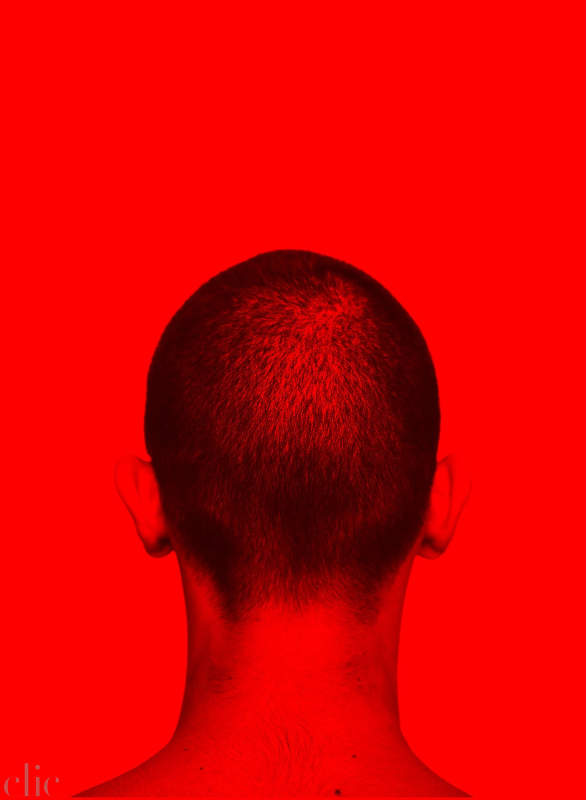 Nuque Rouge