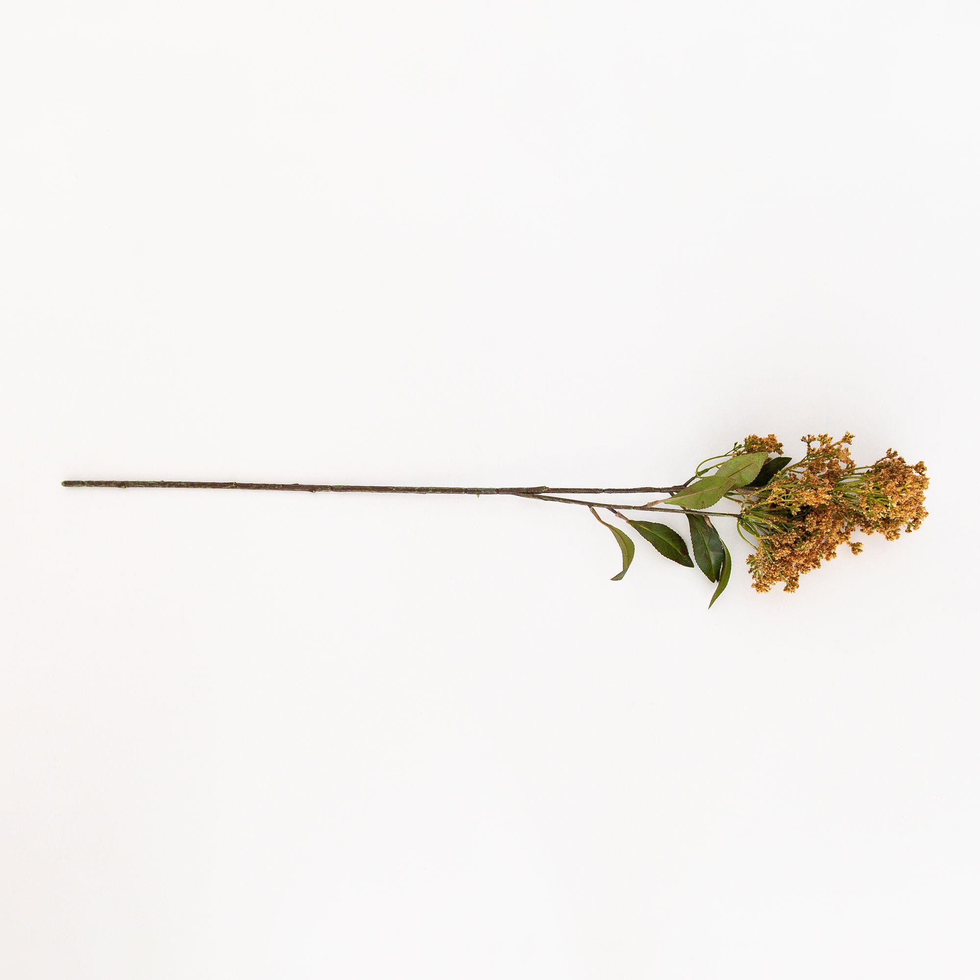 Butterfly Bush Natural Artificial Flower, from Abigail Ahern