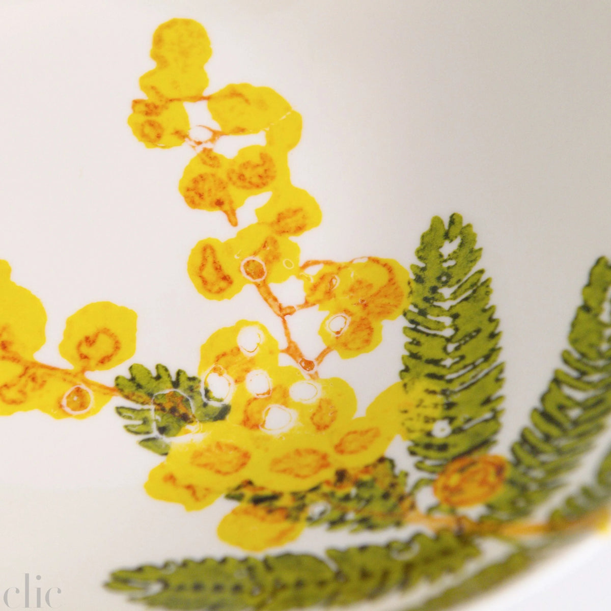 Medium Mimosa Bowl, from Bertozzi