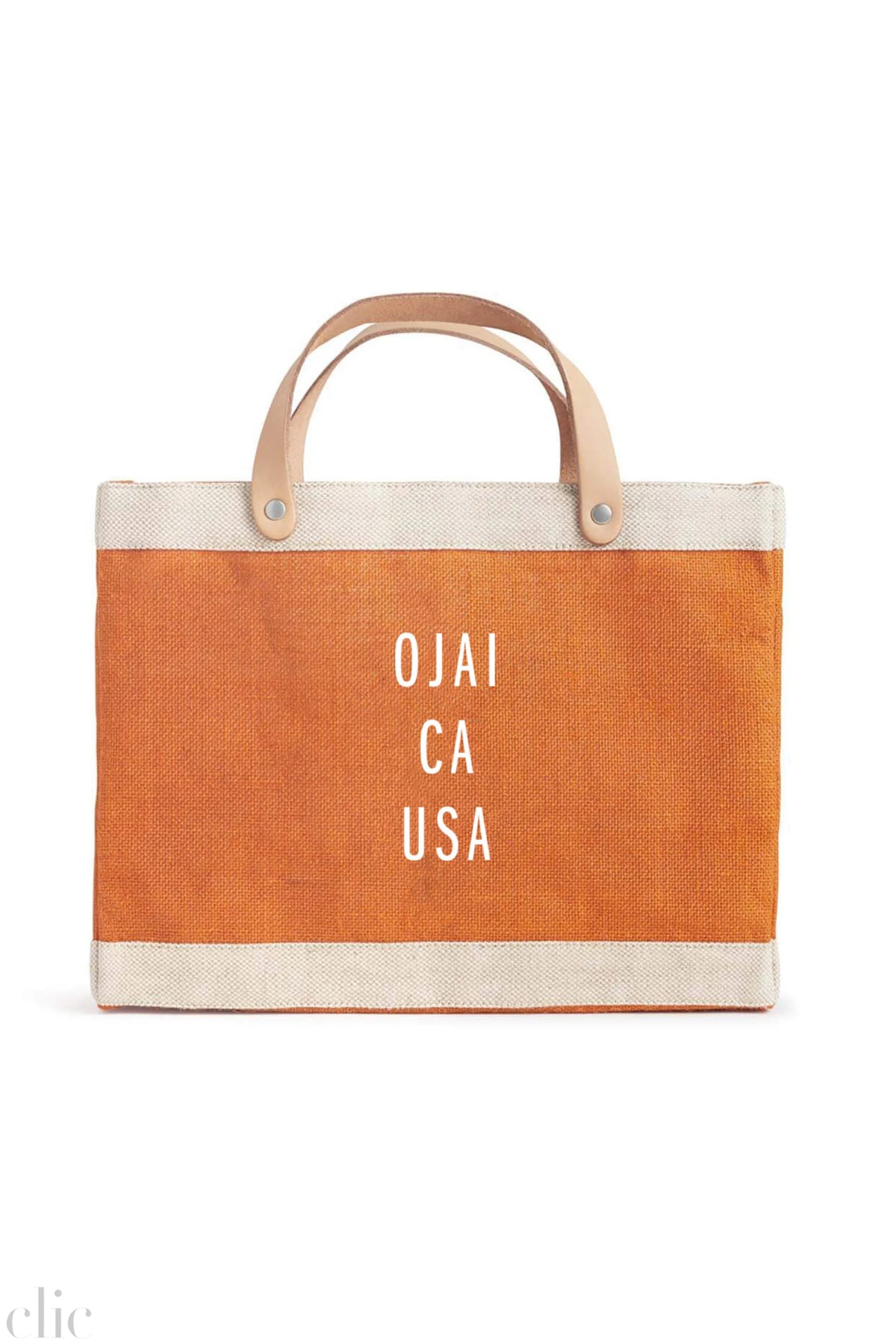 Ojai Petite Market Bag in Citrus, from Apolis