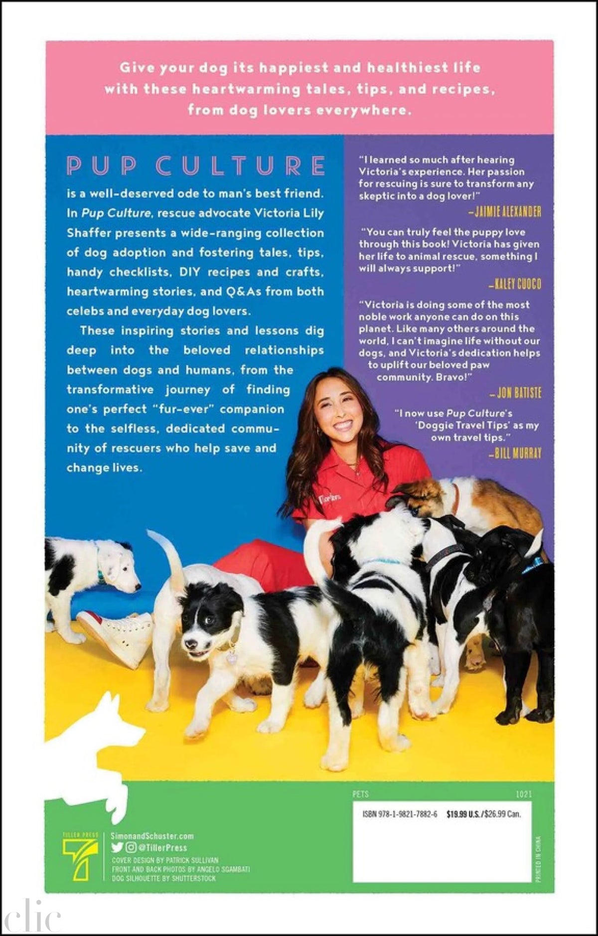 Pup Culture: Stories, Tips, and the Importance of Adopting a Dog