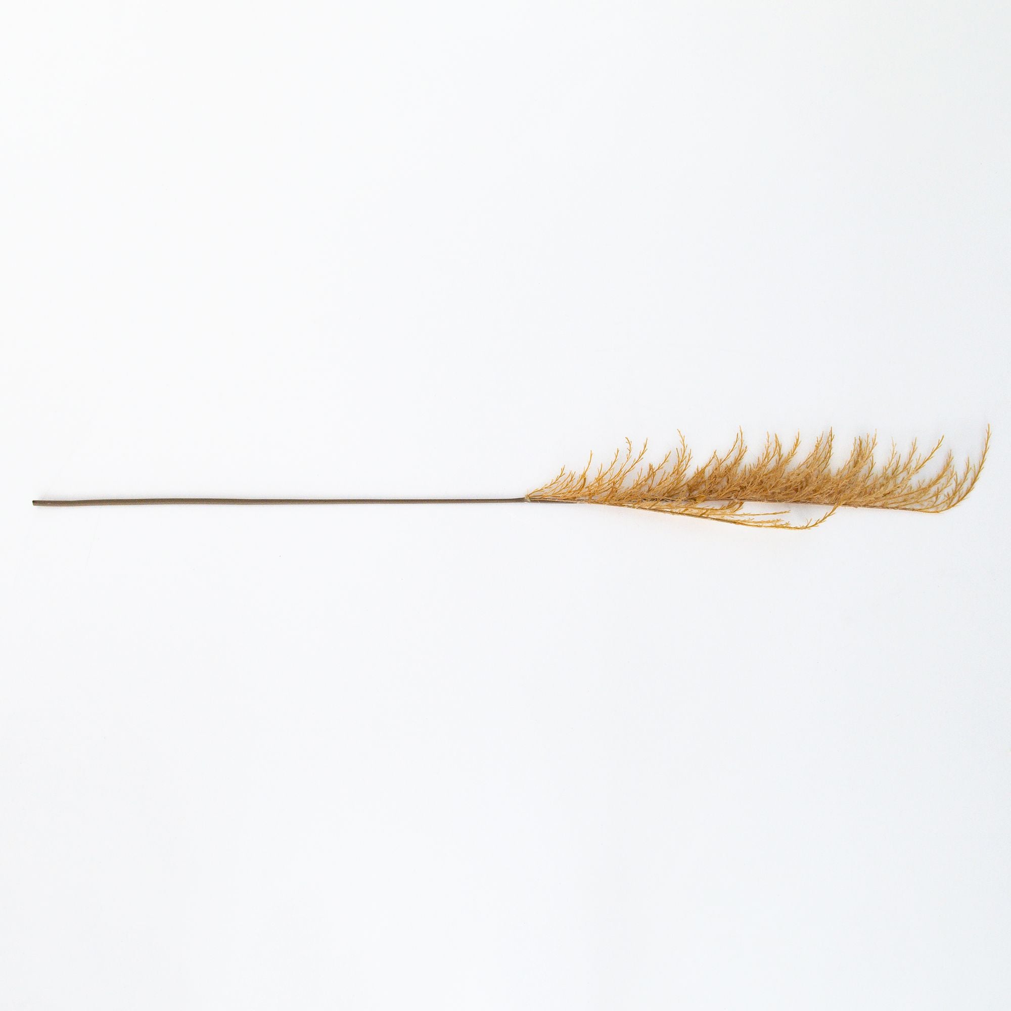 Wild Grass Oat Artificial Flower, from Abigial Ahern