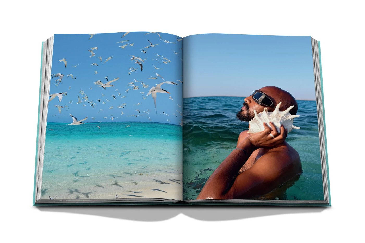 Red Sea, The Saudi Coast