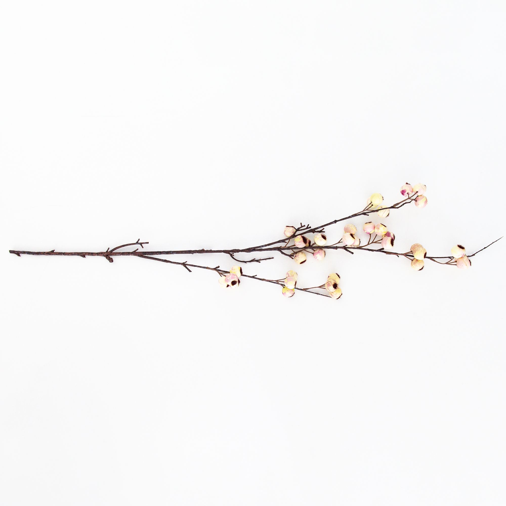 Hawthorn Cream Artificial Flower, from Abigail Ahern