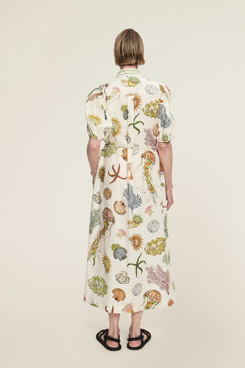 Sea Shirtdress, from Alemais