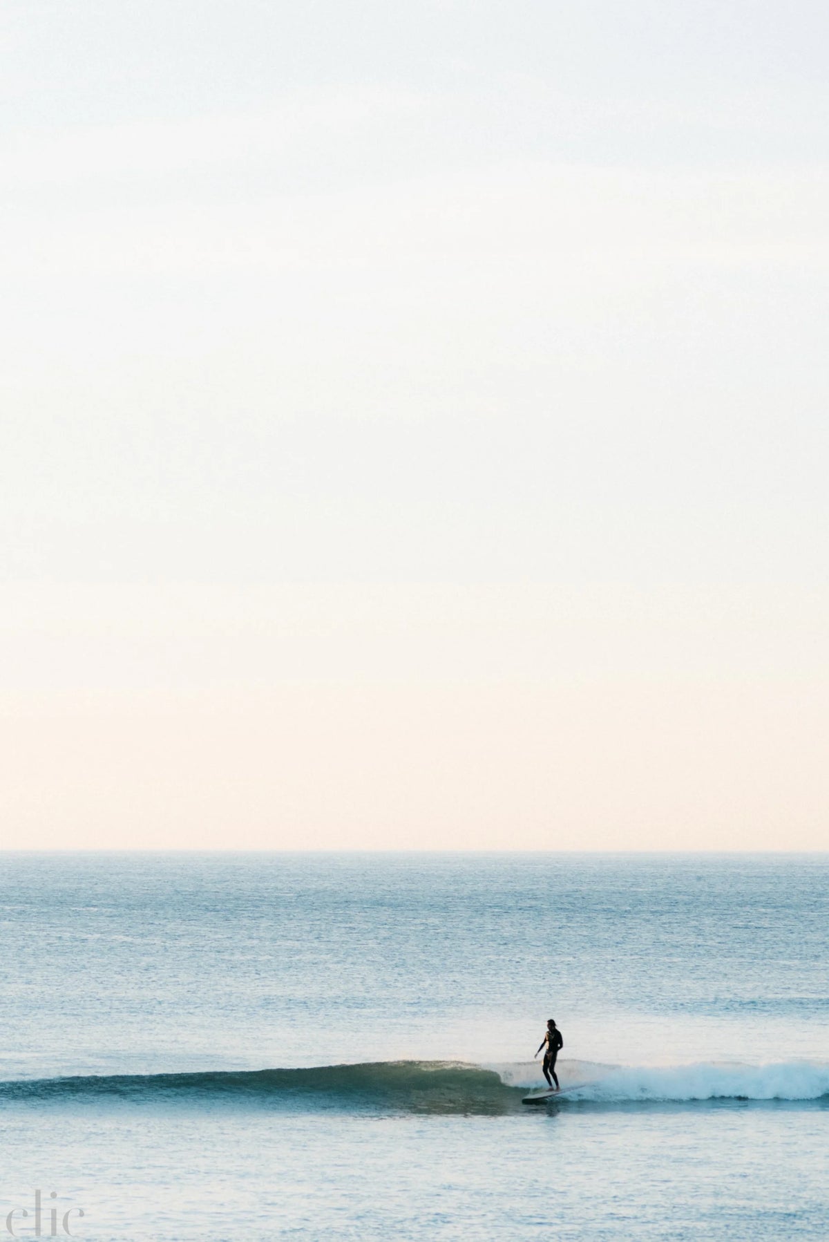 Surfrider by Kate Holstein