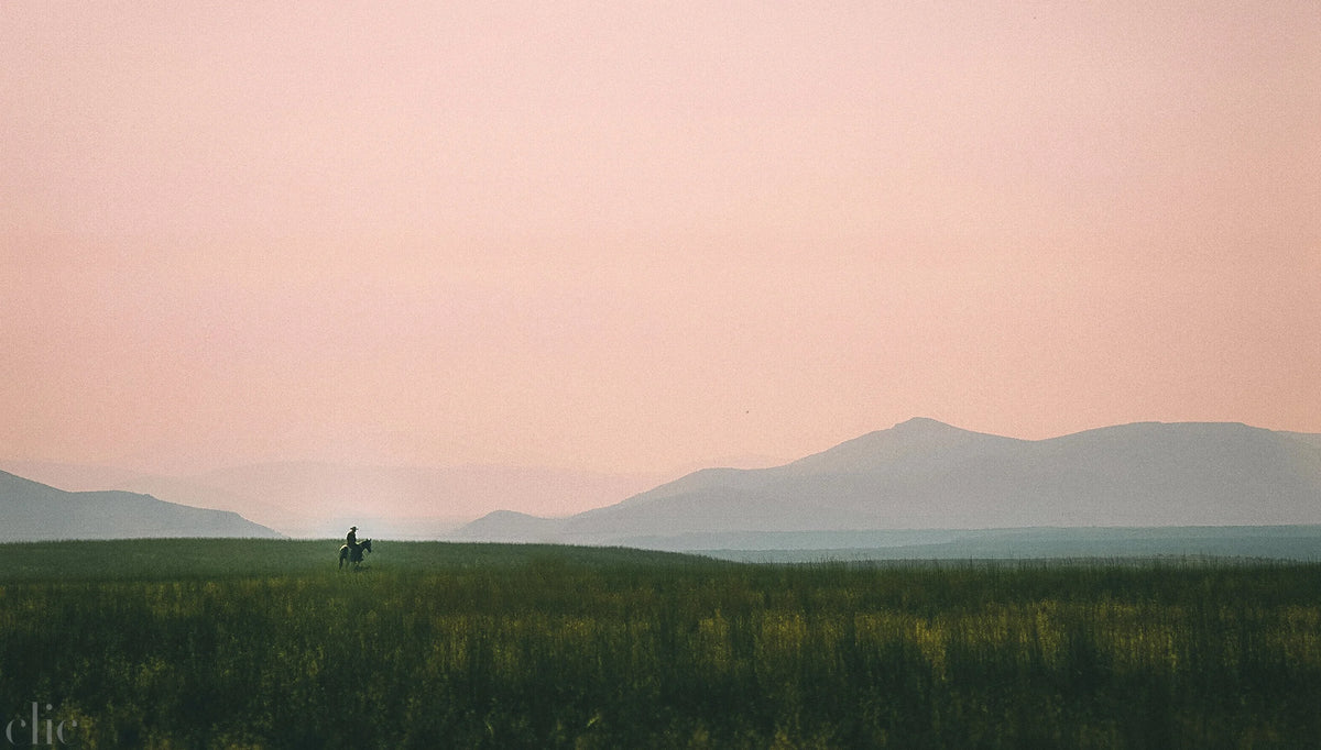 Tiny Cowboy by Josh Soskin