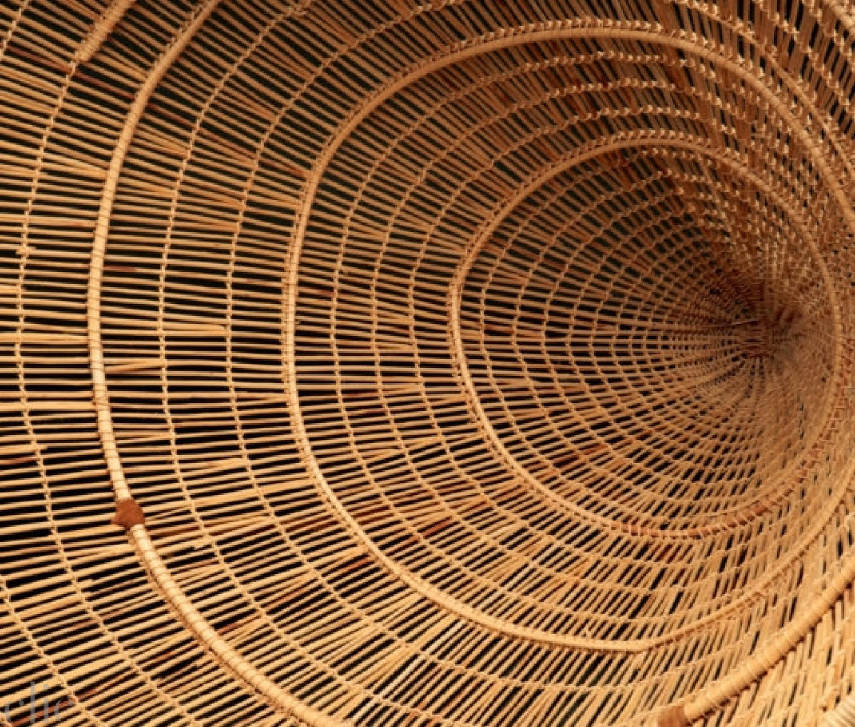 The Art of Native American Washoe Basketry