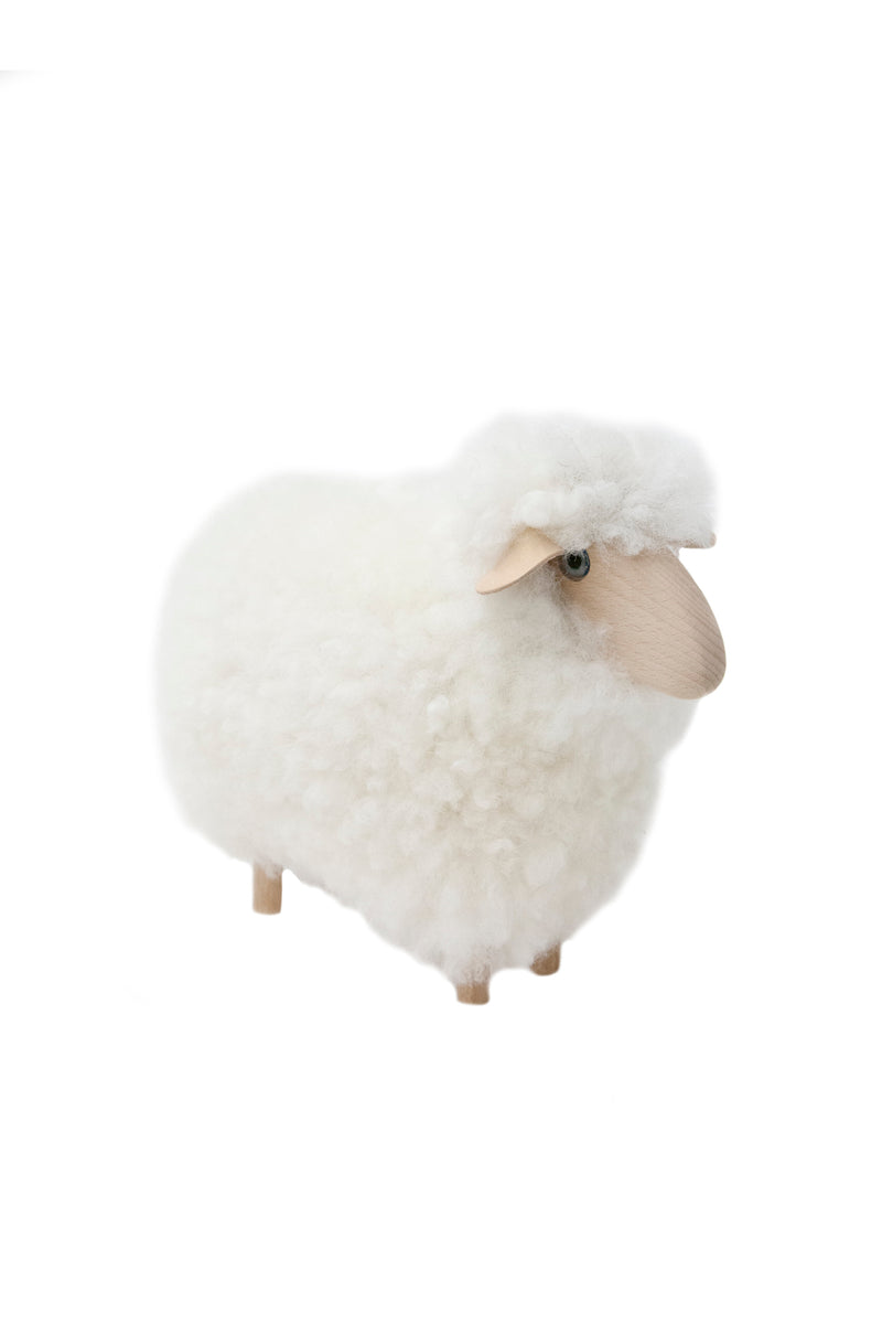 Little Lamb in White Fur and Beech Wood