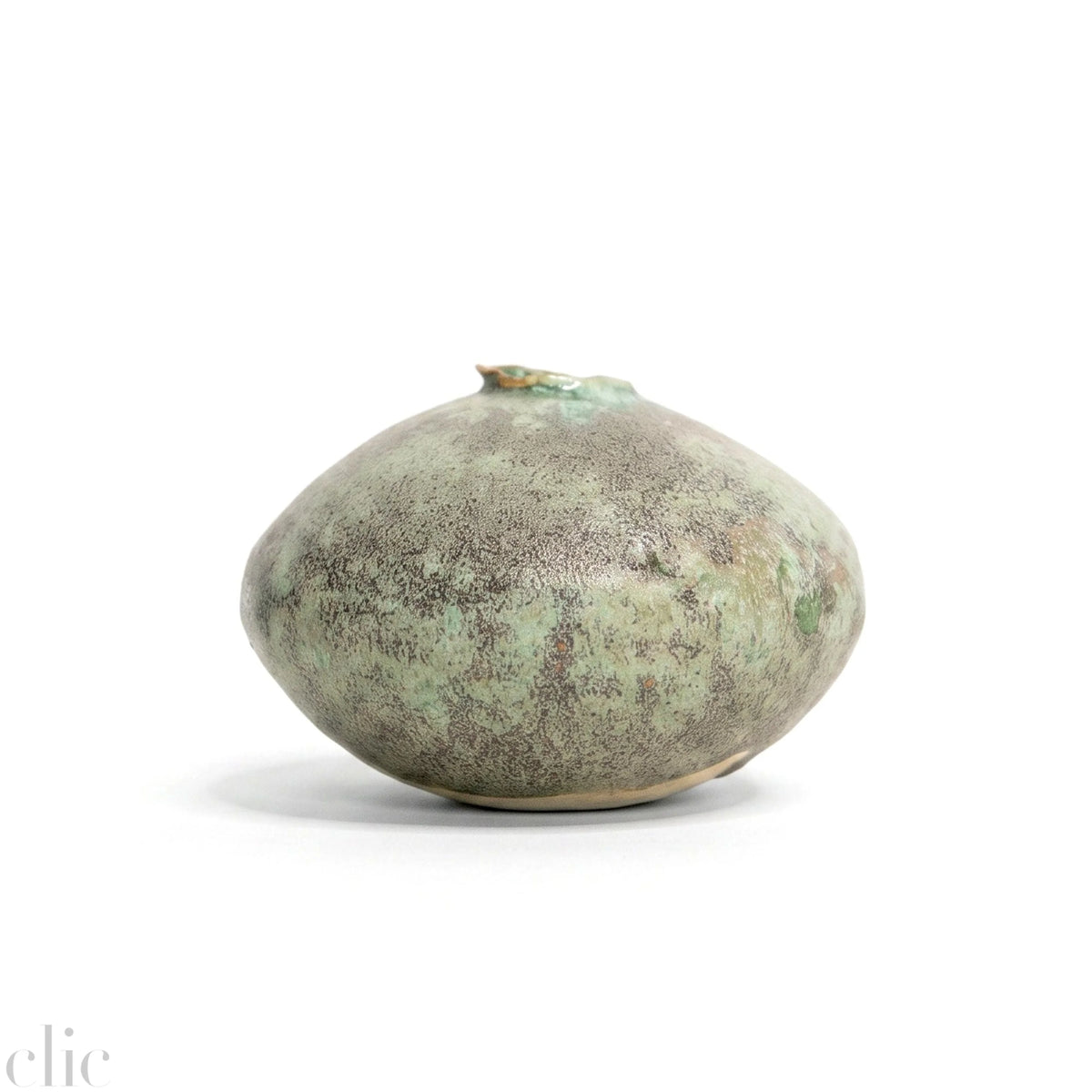 Moon Bud Vase in Lichen