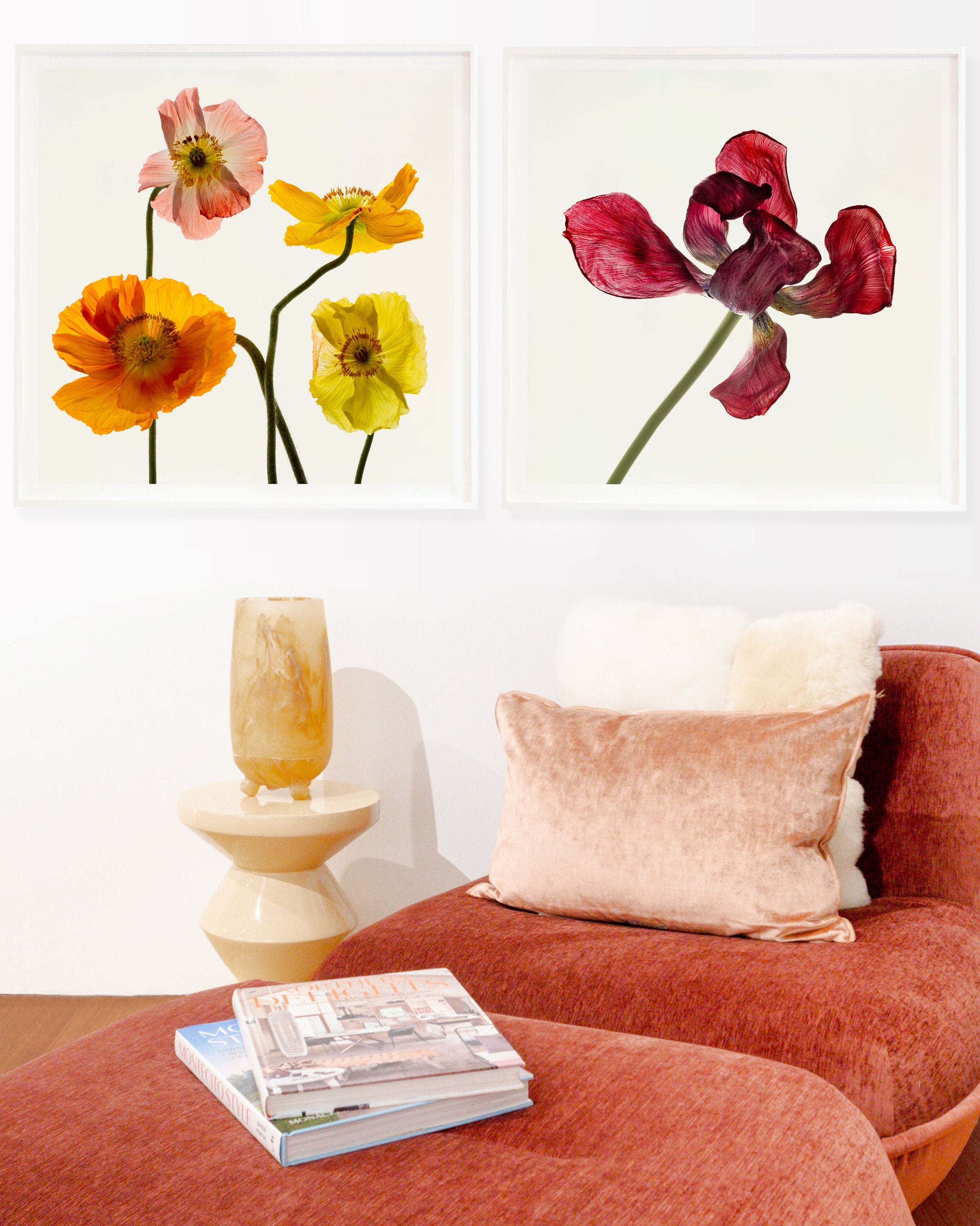 Flower Study 19 by Blaise Hayward