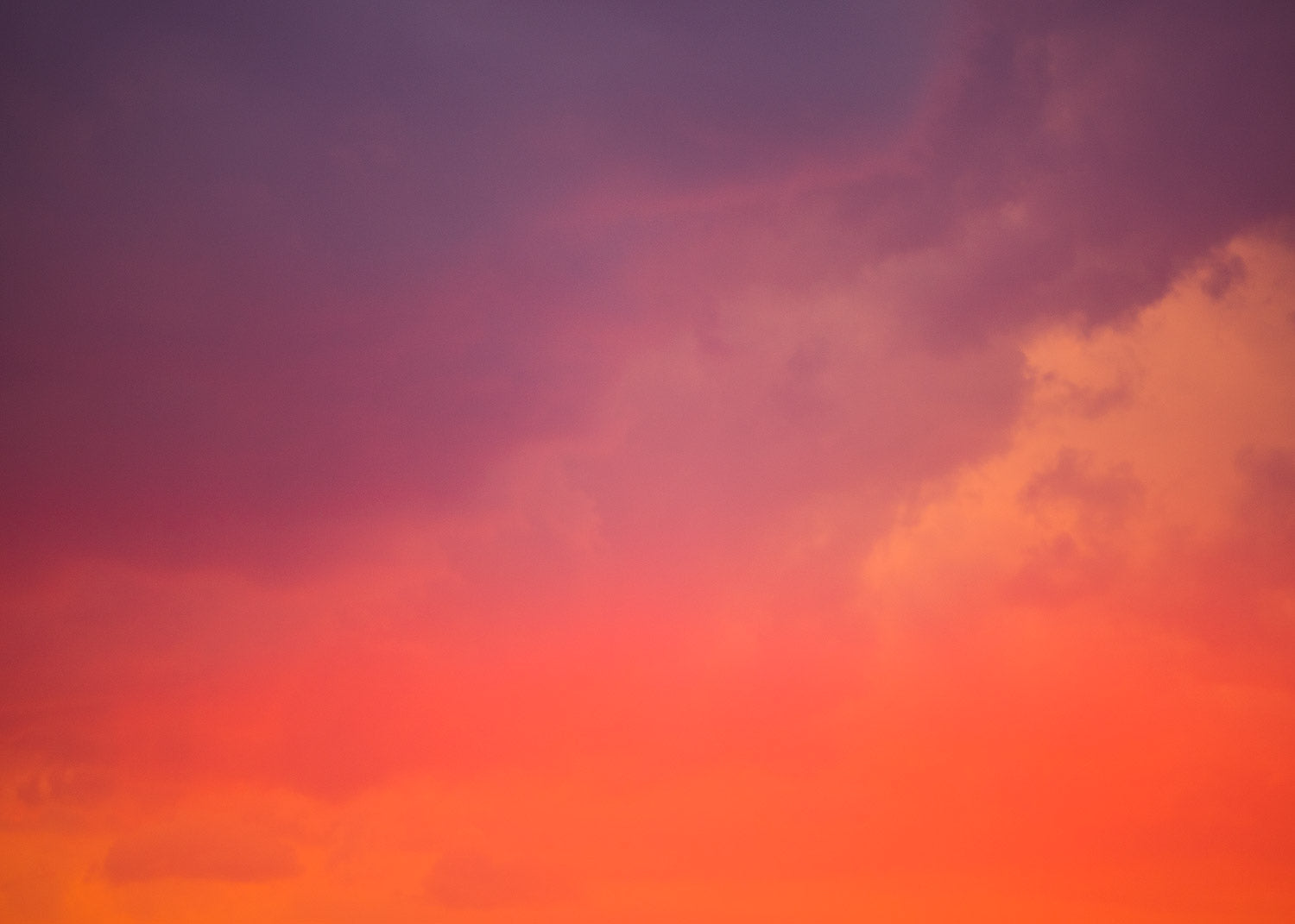 Bondi Colour Storm by Pottsy