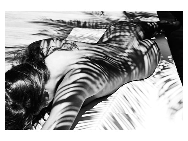 Christine, Tamarin Palm Tree Shadow by Antoine Verglas
