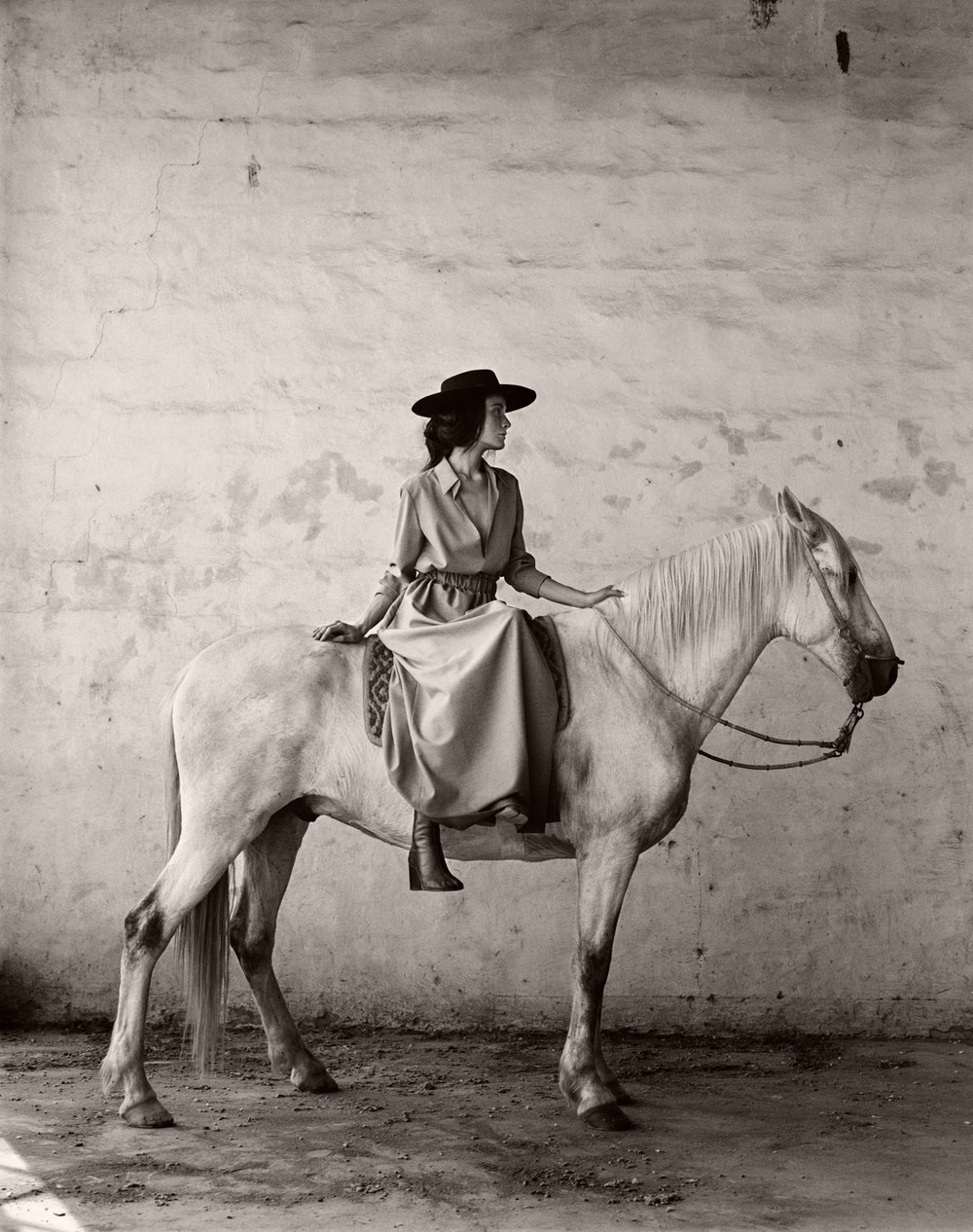Horse in Argentina by Anne Menke