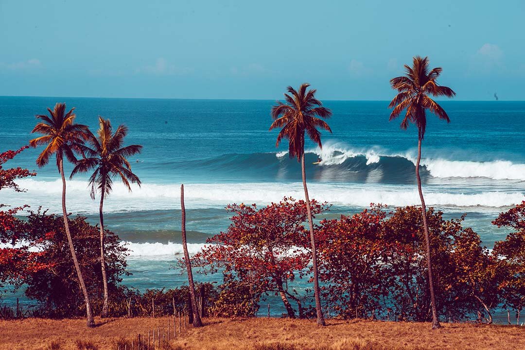 Rincon Surf by Pottsy