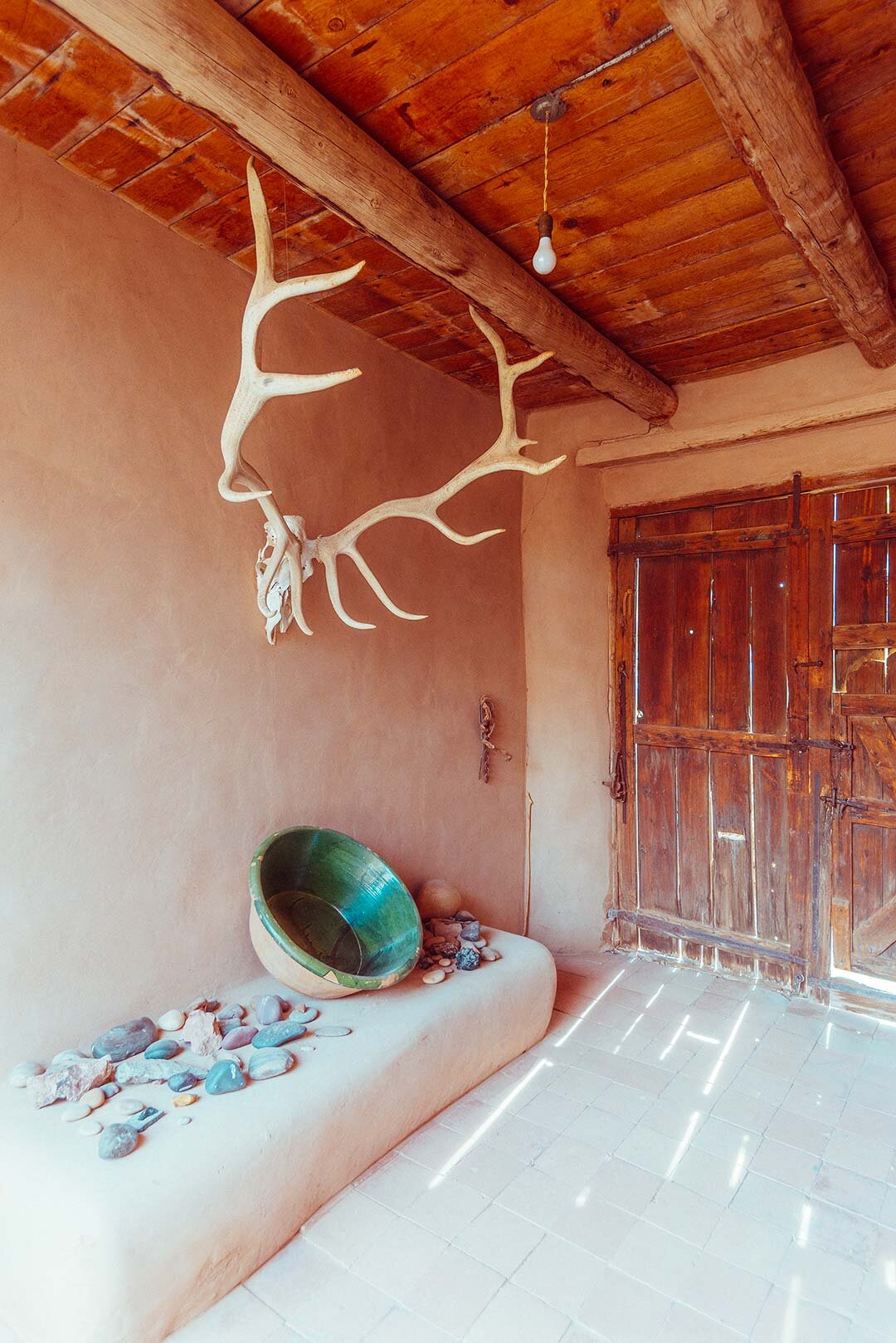 New Mexico Skull by Pottsy