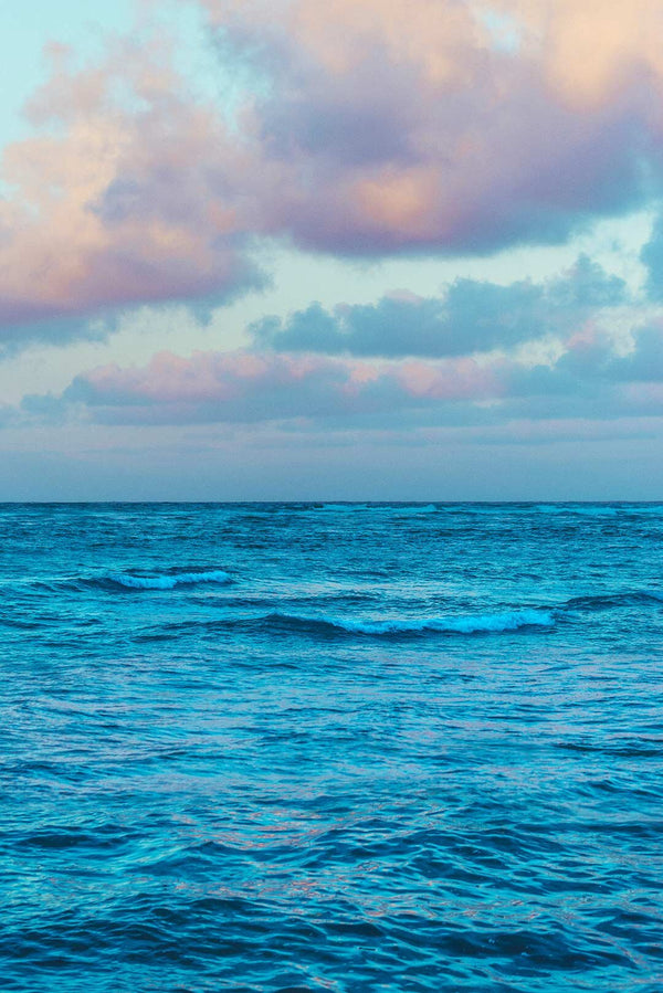 Hawaiian Seascape by Pottsy