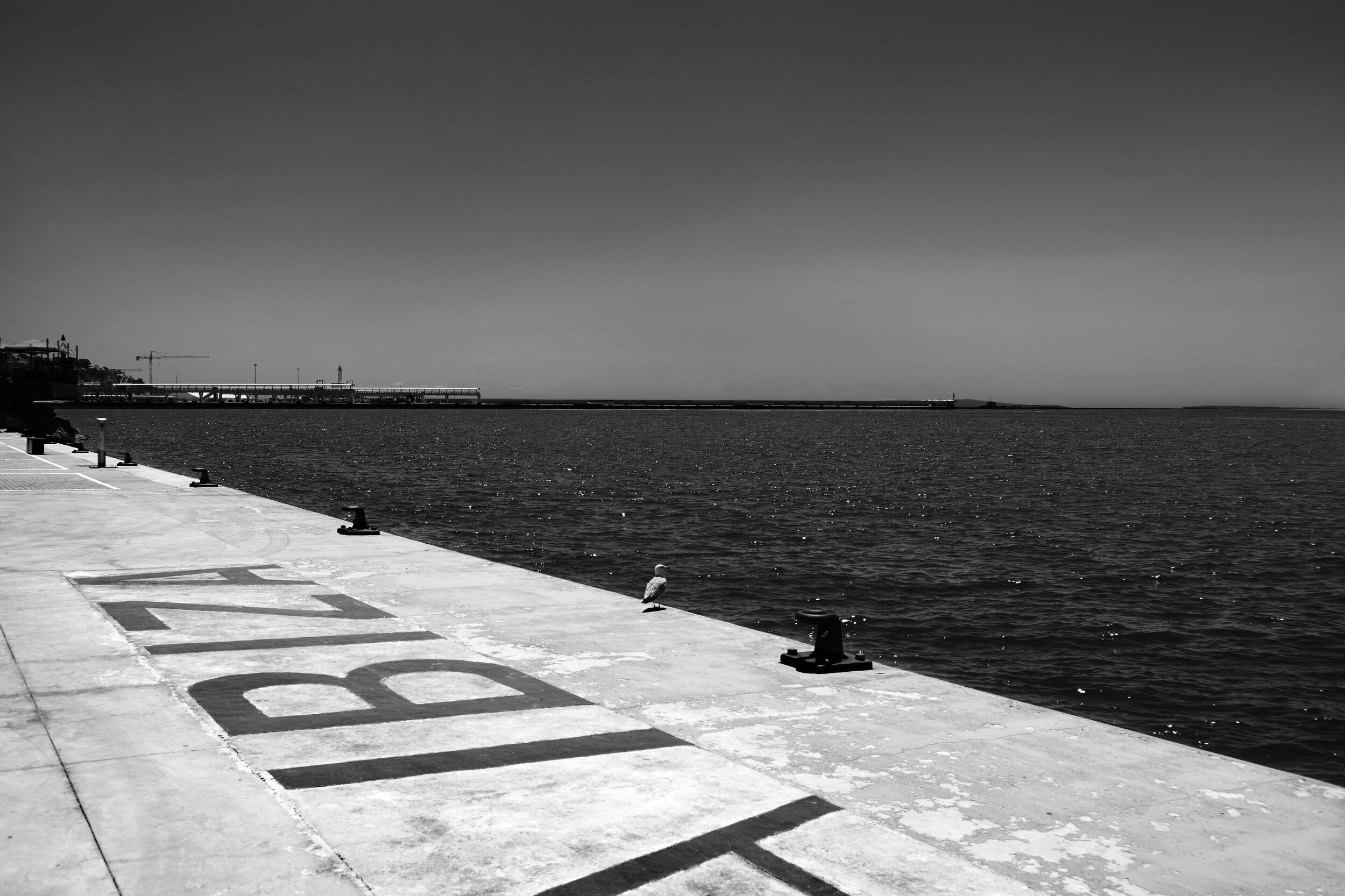 Arrival, Ibiza by Stephane Dessaint