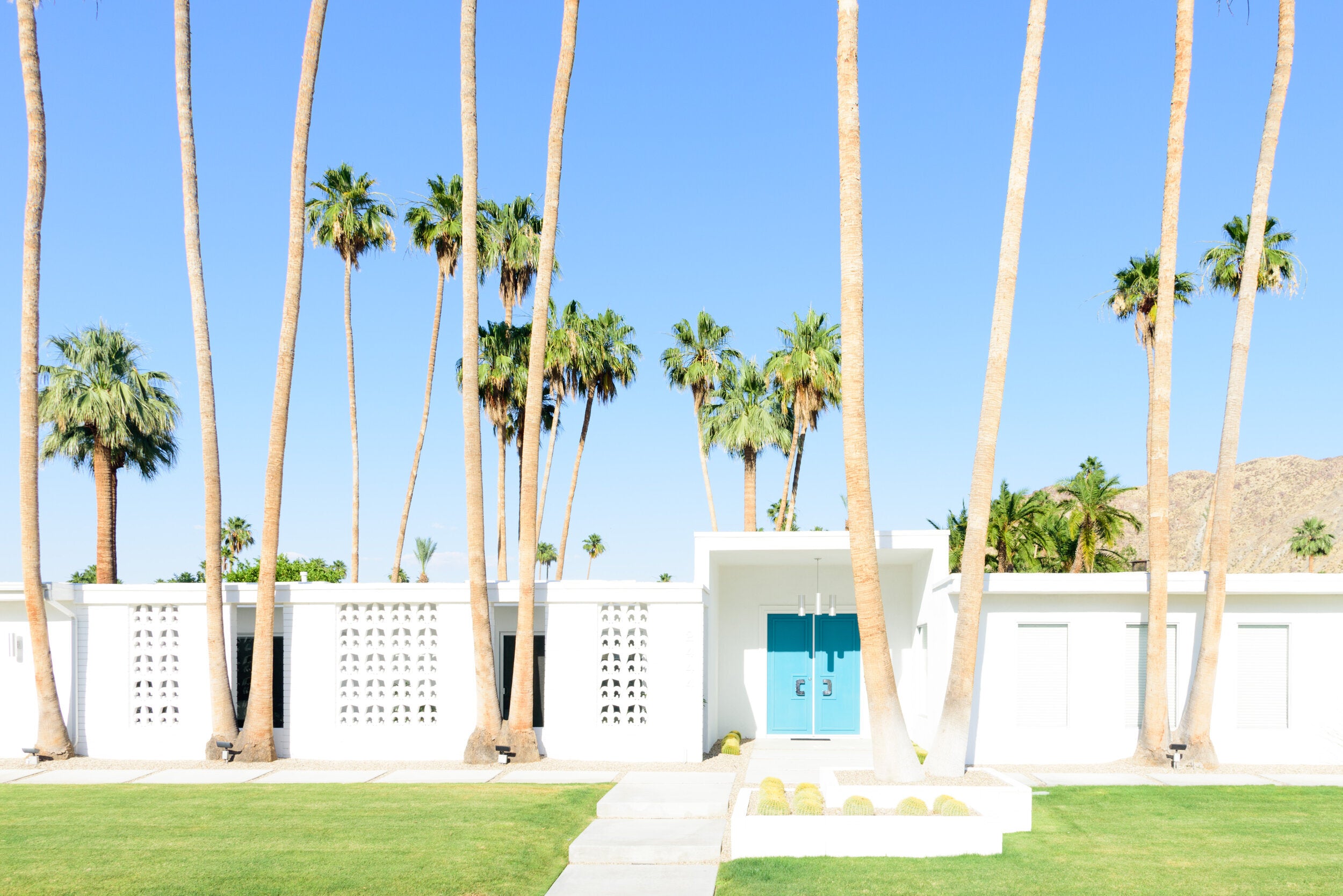 Deserted Palm II by Juliette Charvet