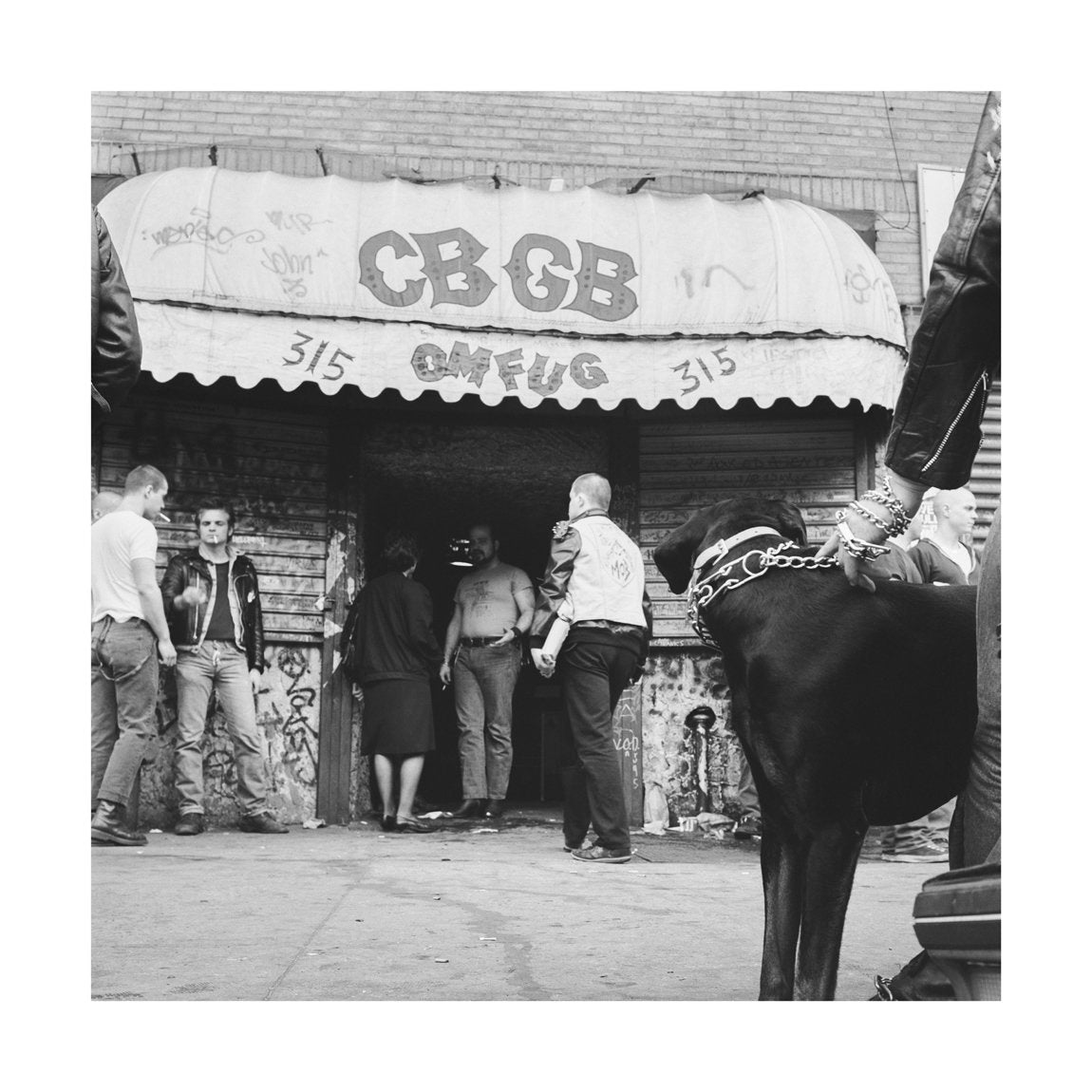 Chained Dog, 1984 by Drew Carolan