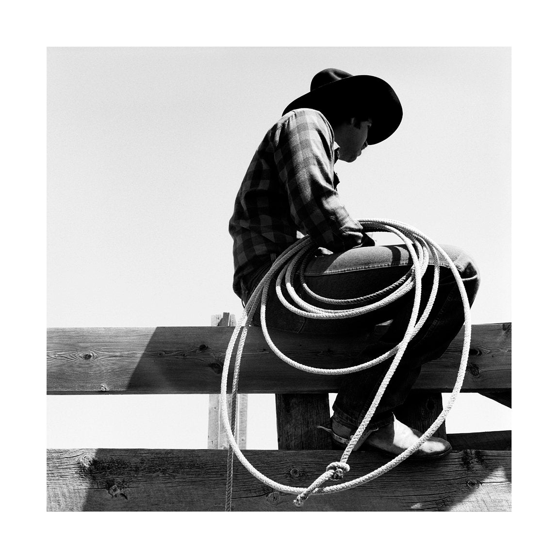 Cowboy Roper, 1983 by Drew Carolan