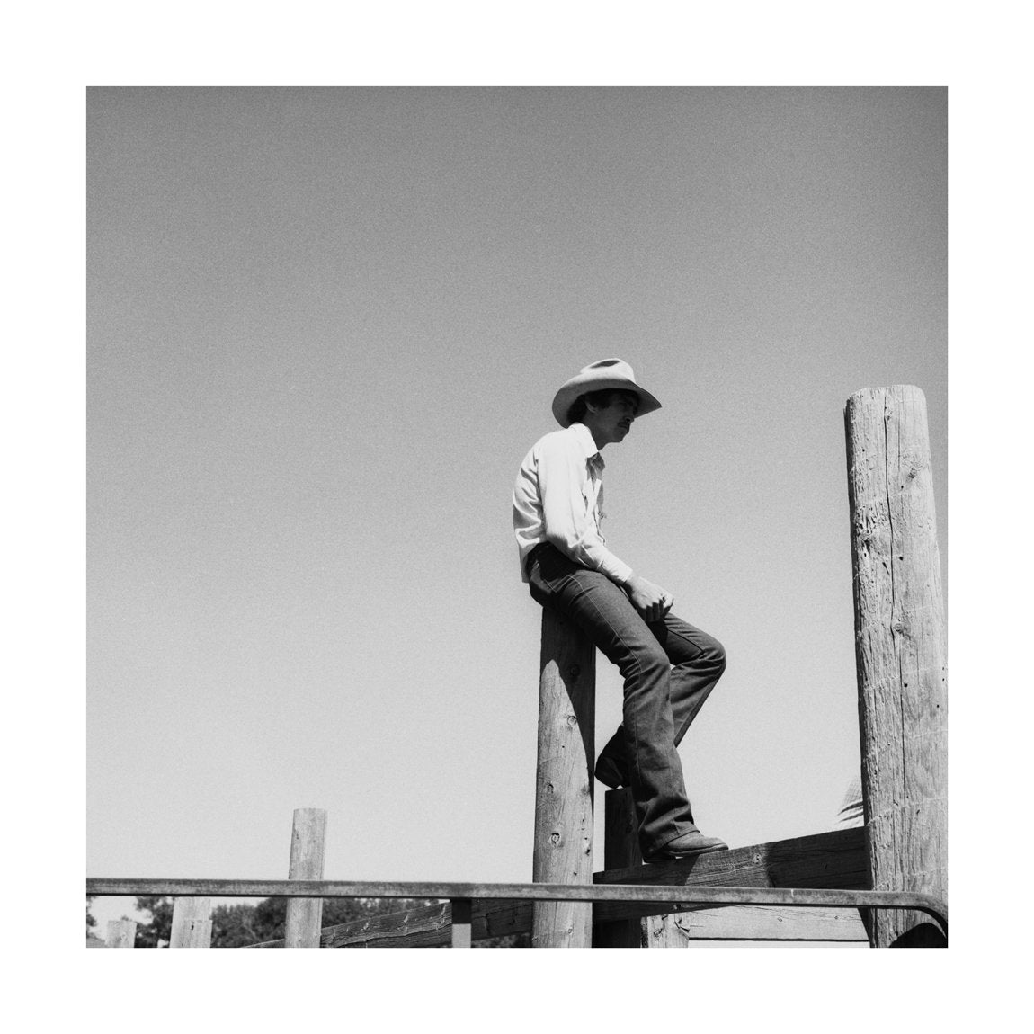 Pole Sitter, 1984 by Drew Carolan