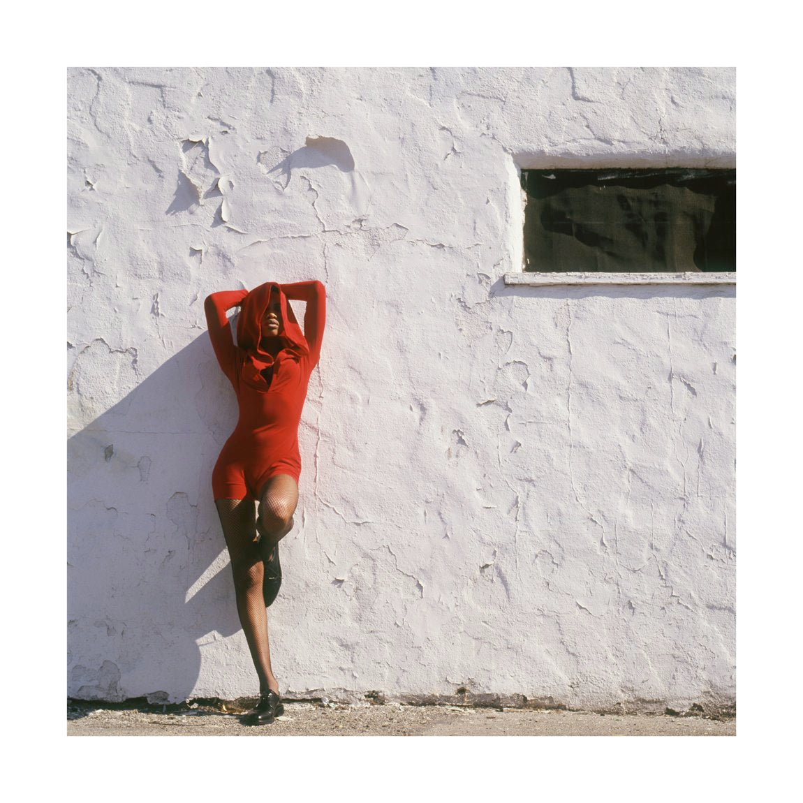 Sunland Beauty, 1990 by Drew Carolan