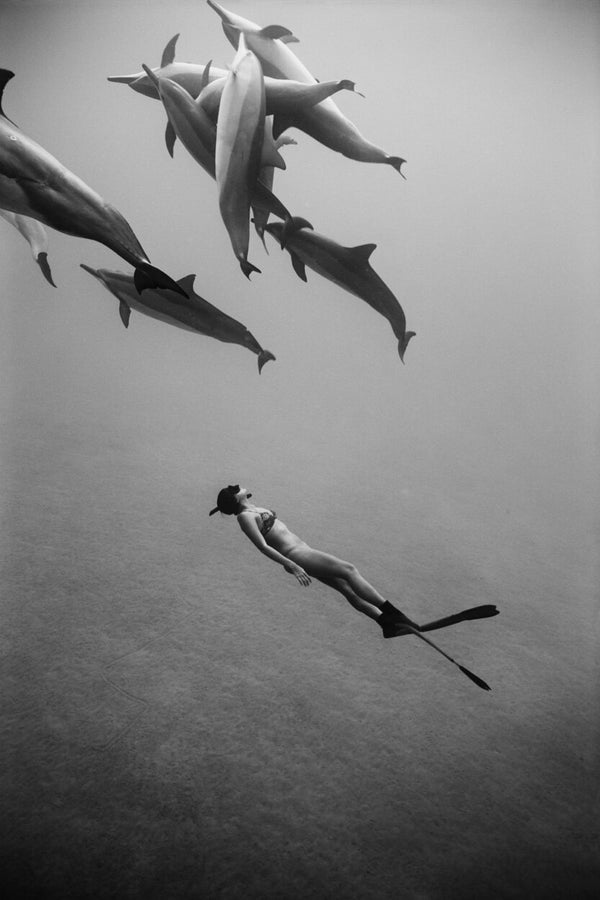 Kimi Werner with Dolphins #1 (B-339) by Wayne Levin