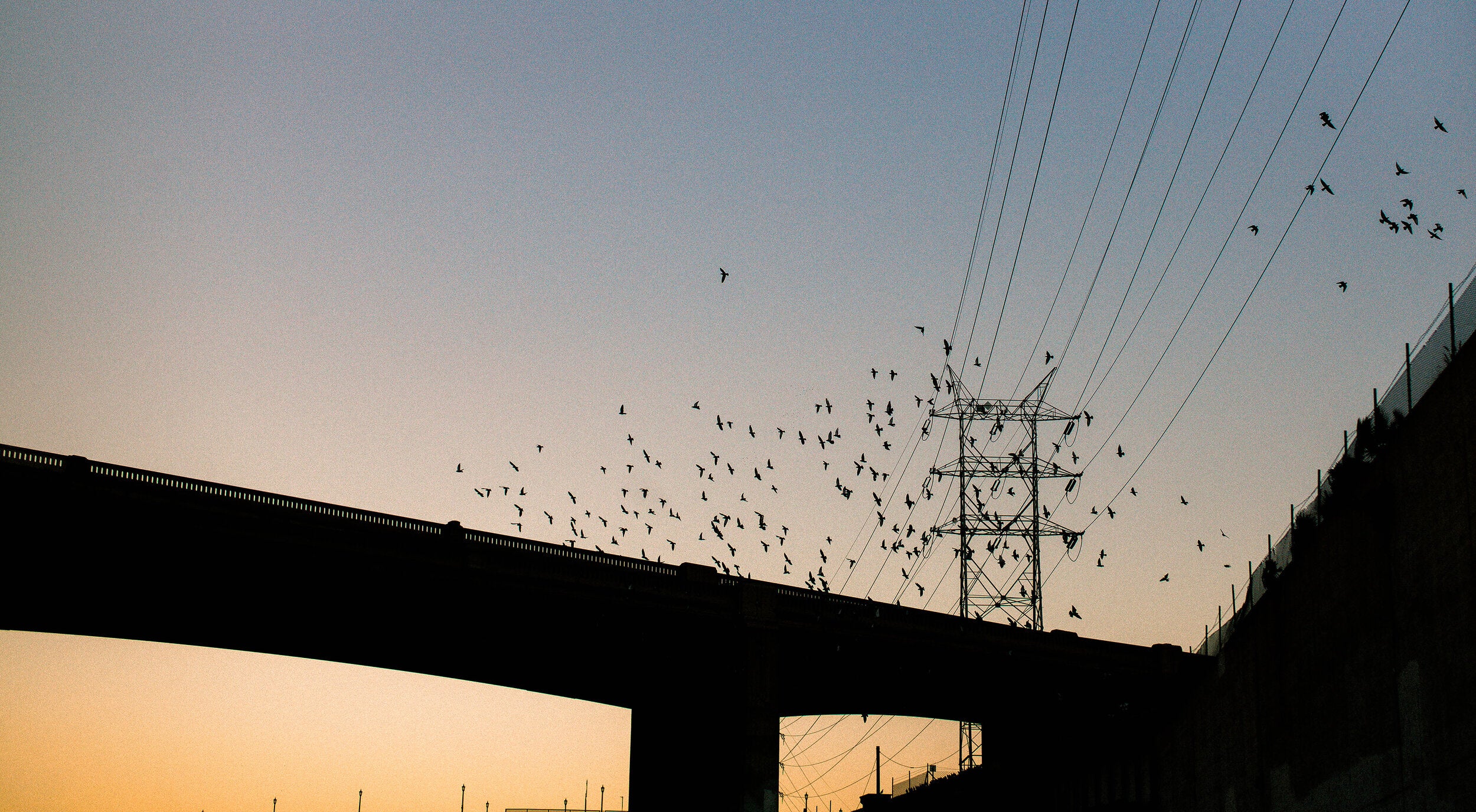 LA River by Josh Soskin
