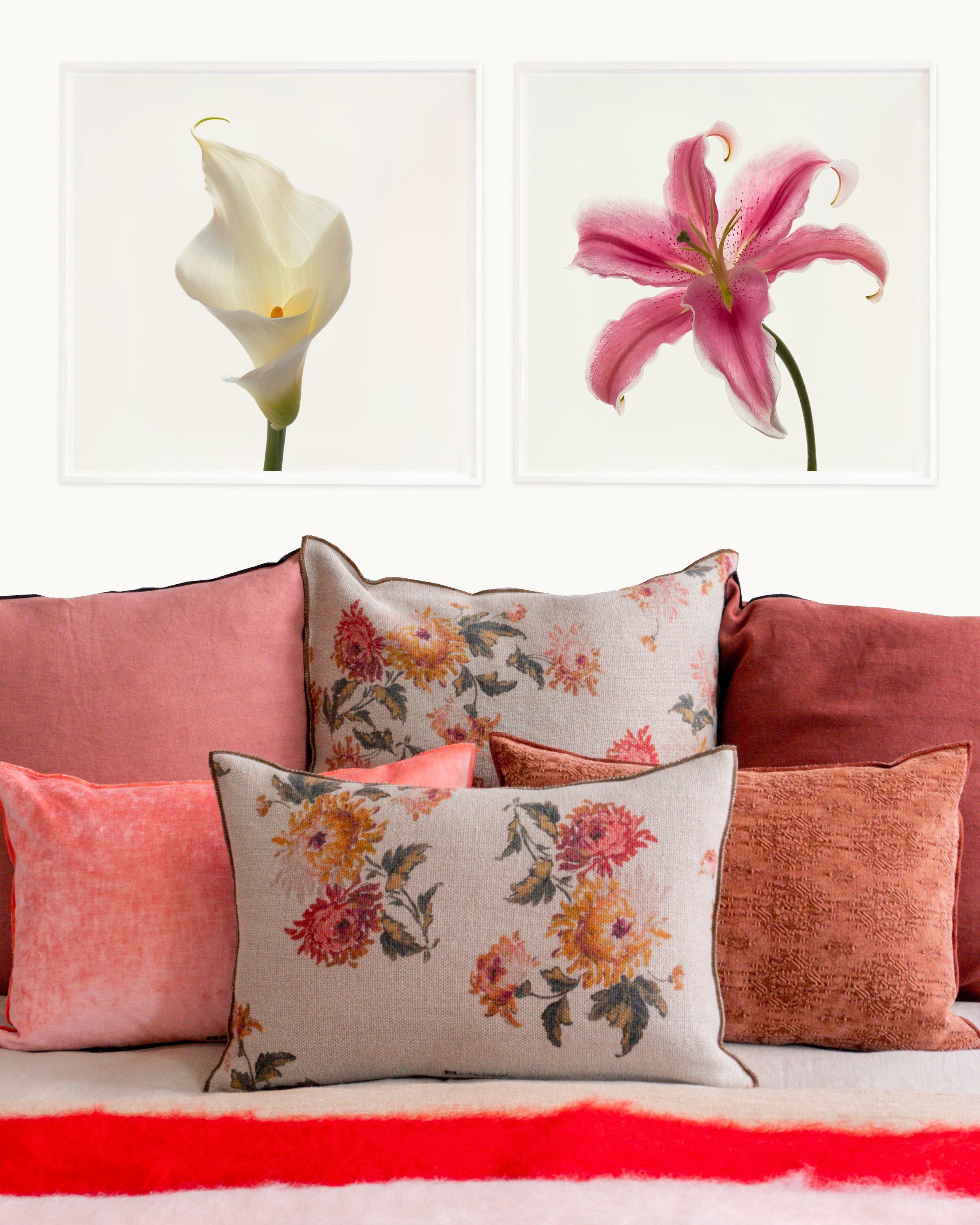 Flower Study 15 by Blaise Hayward
