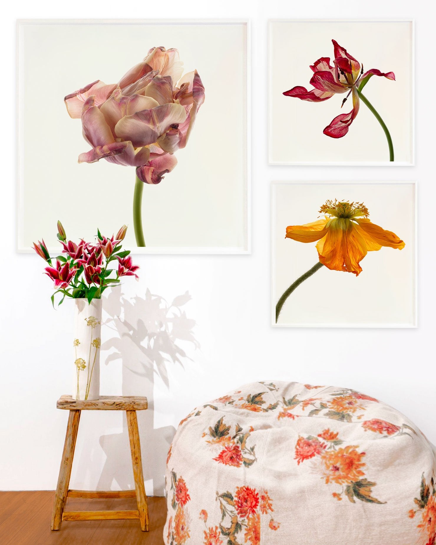 Flower Study 17 by Blaise Hayward