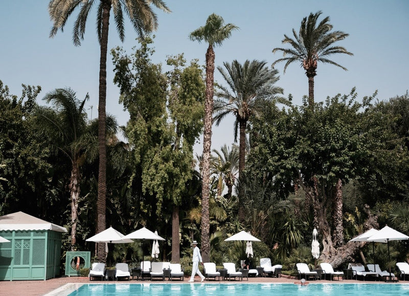 Pool &amp; Palms by Stuart Cantor