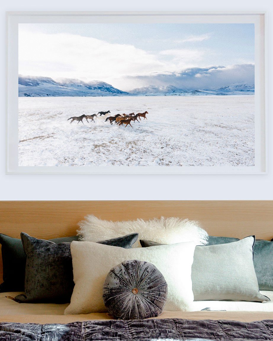 Wild Horses from Above by Josh Soskin