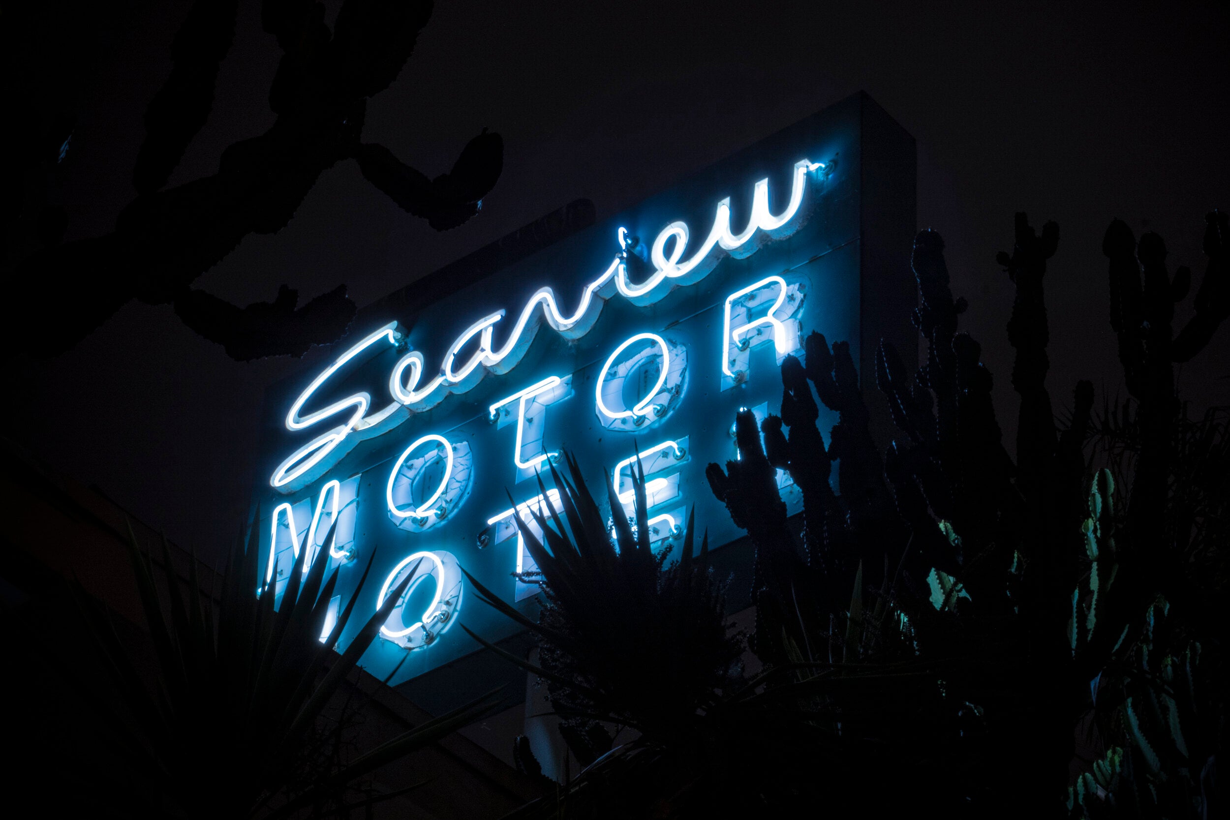 Seaview Motel by Oleg Char