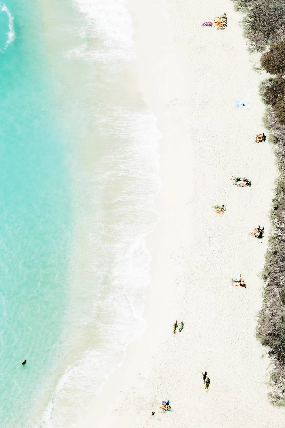 Walking on the Beach by Stephane Dessaint