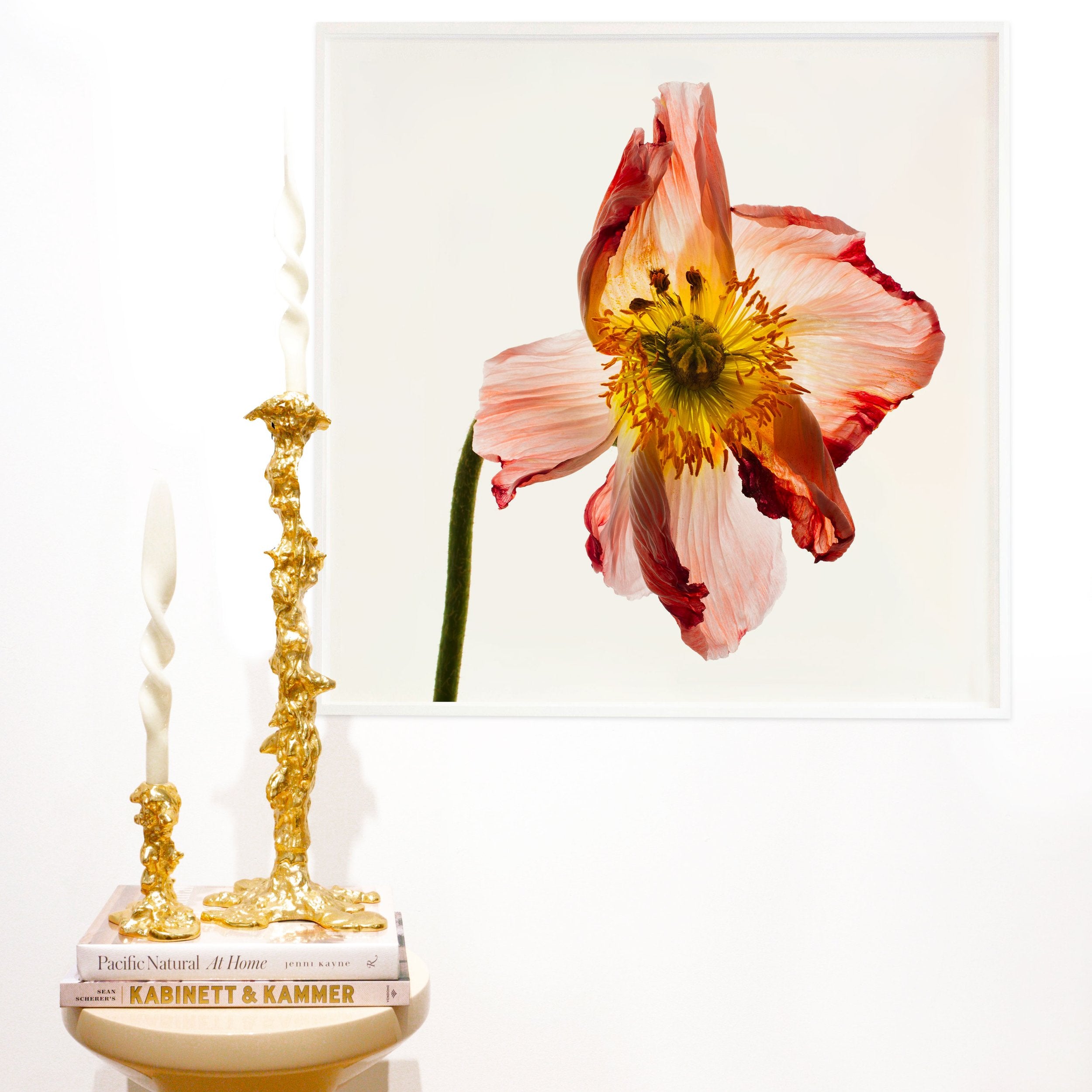 Flower Study 9 by Blaise Hayward