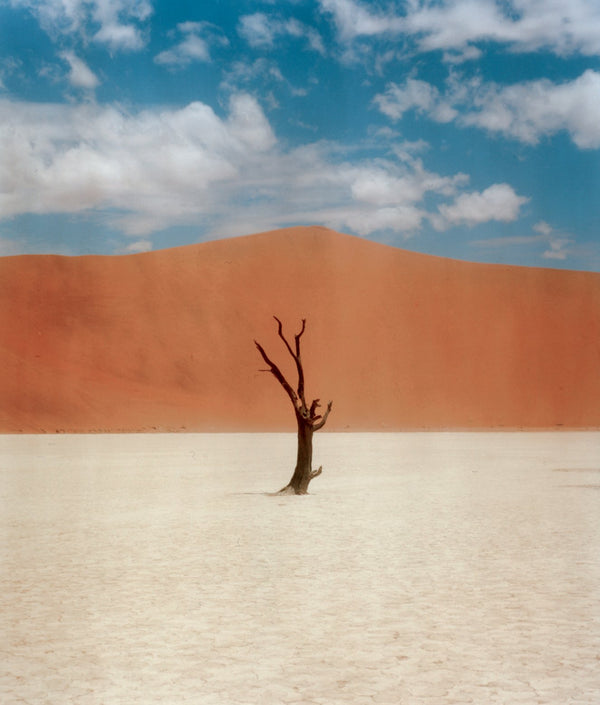 Deadvlei 1 by Dhagpo Lobsang