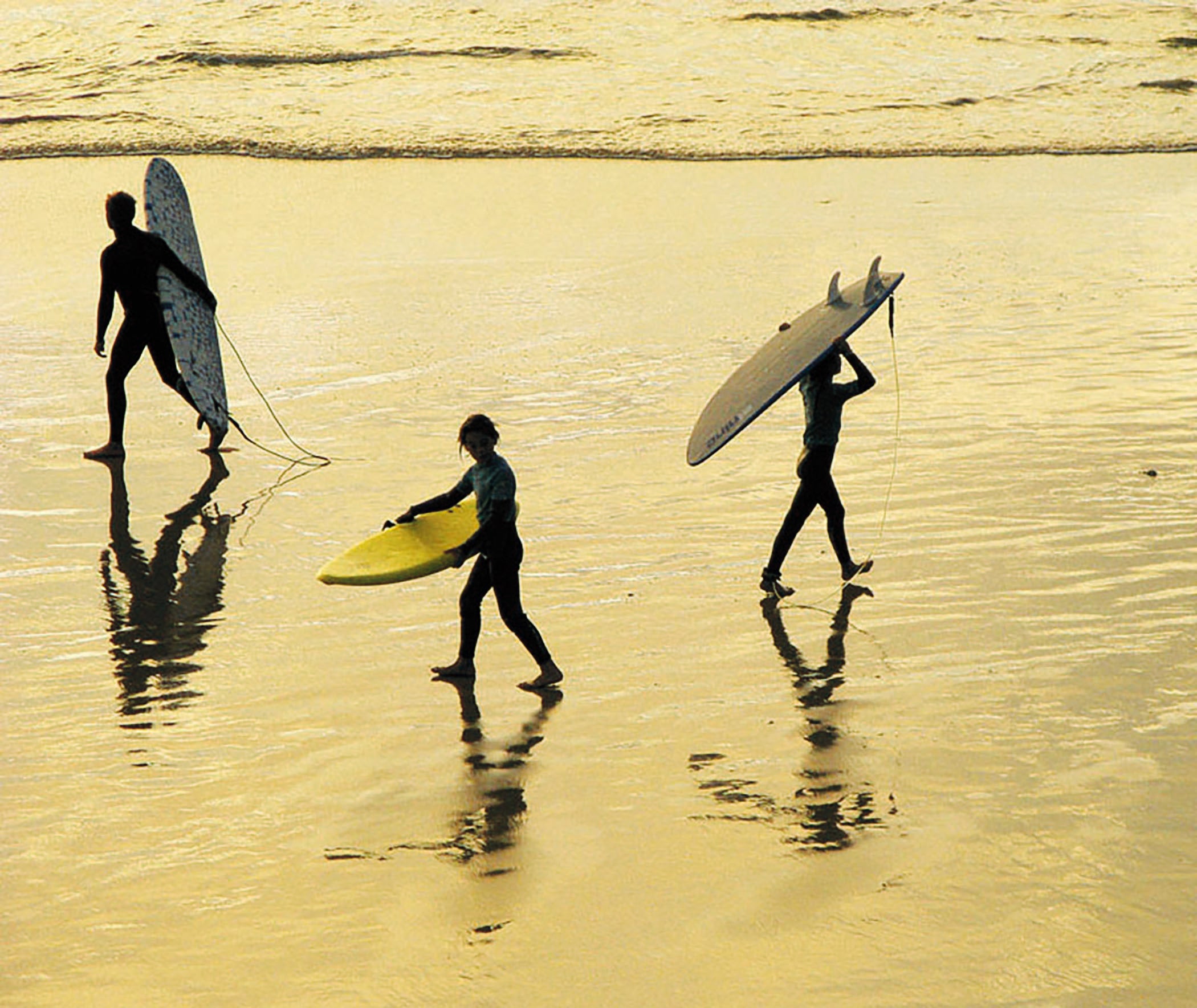 Surf School, La Cote Des Basques, France by Jeff Divine