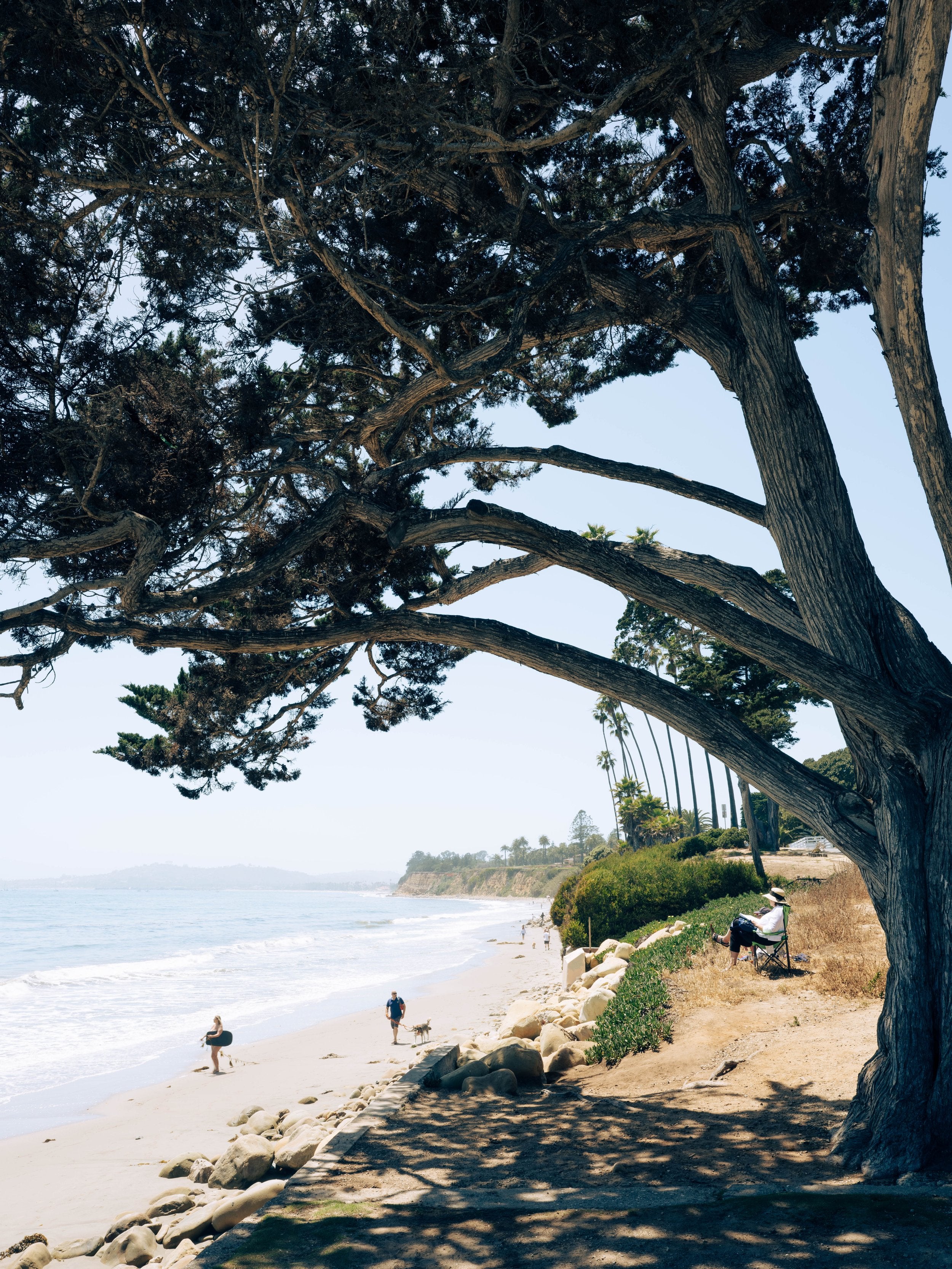 Butterfly Beach by Juliette Charvet