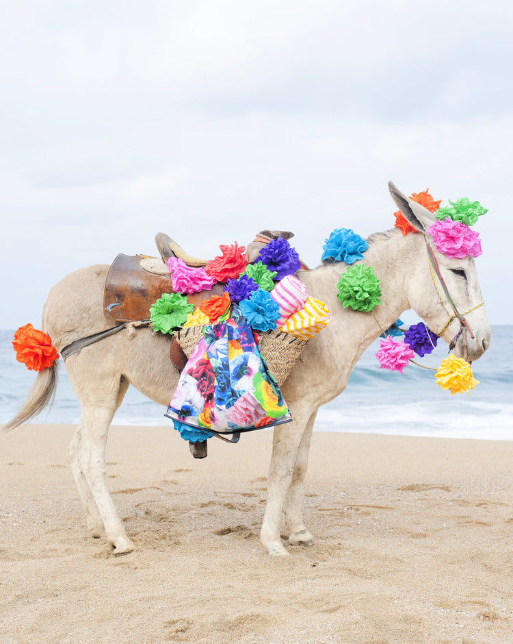 Happy Donkey by Anne Menke